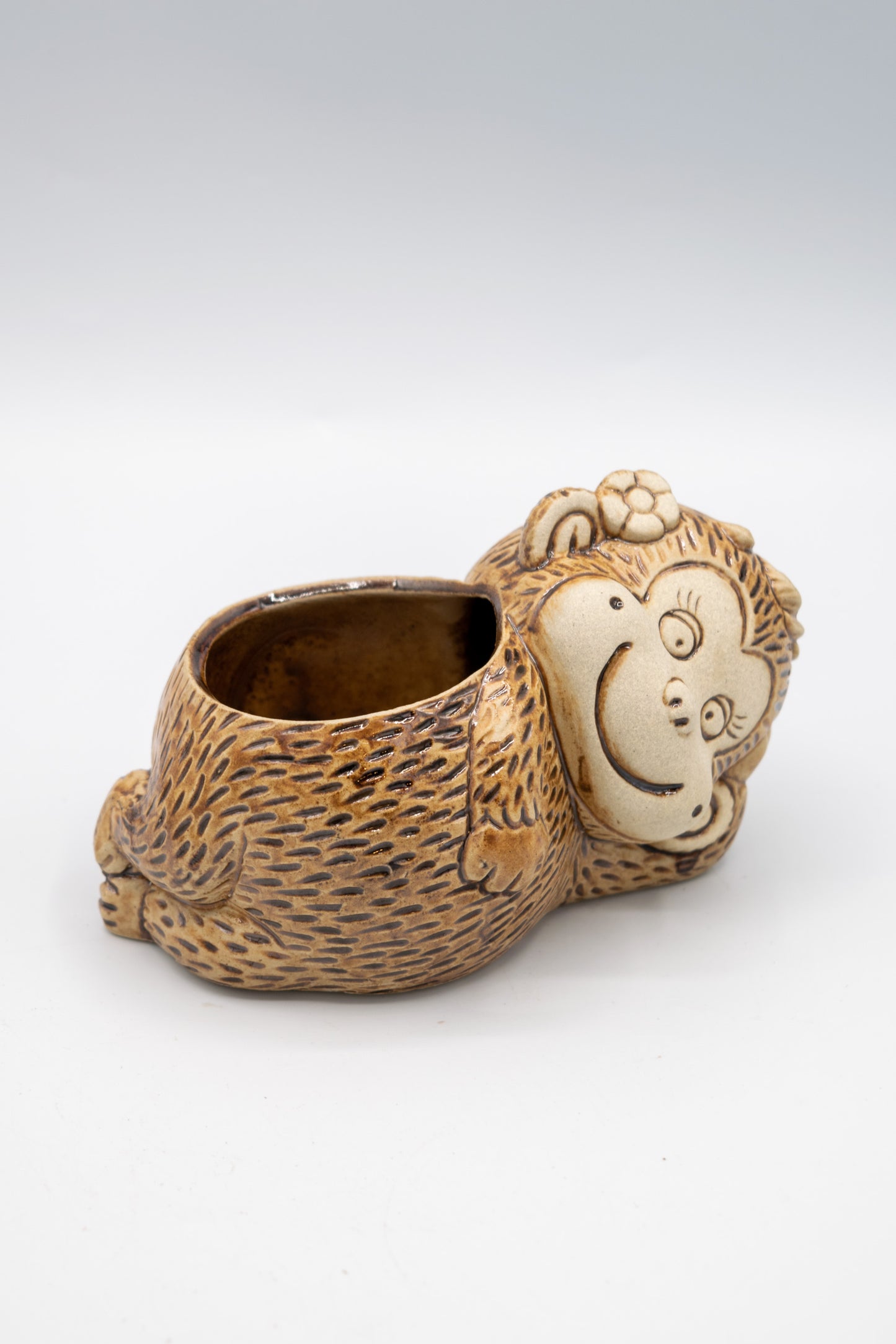 Monkey Flower Planter