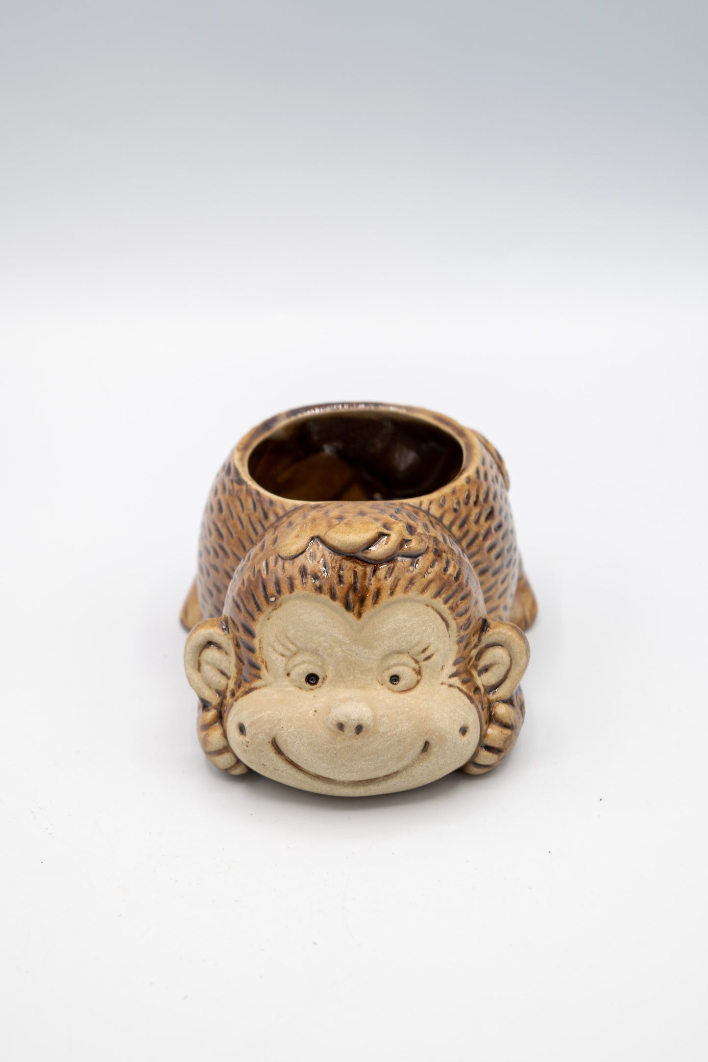 Monkey Front Facing Planter