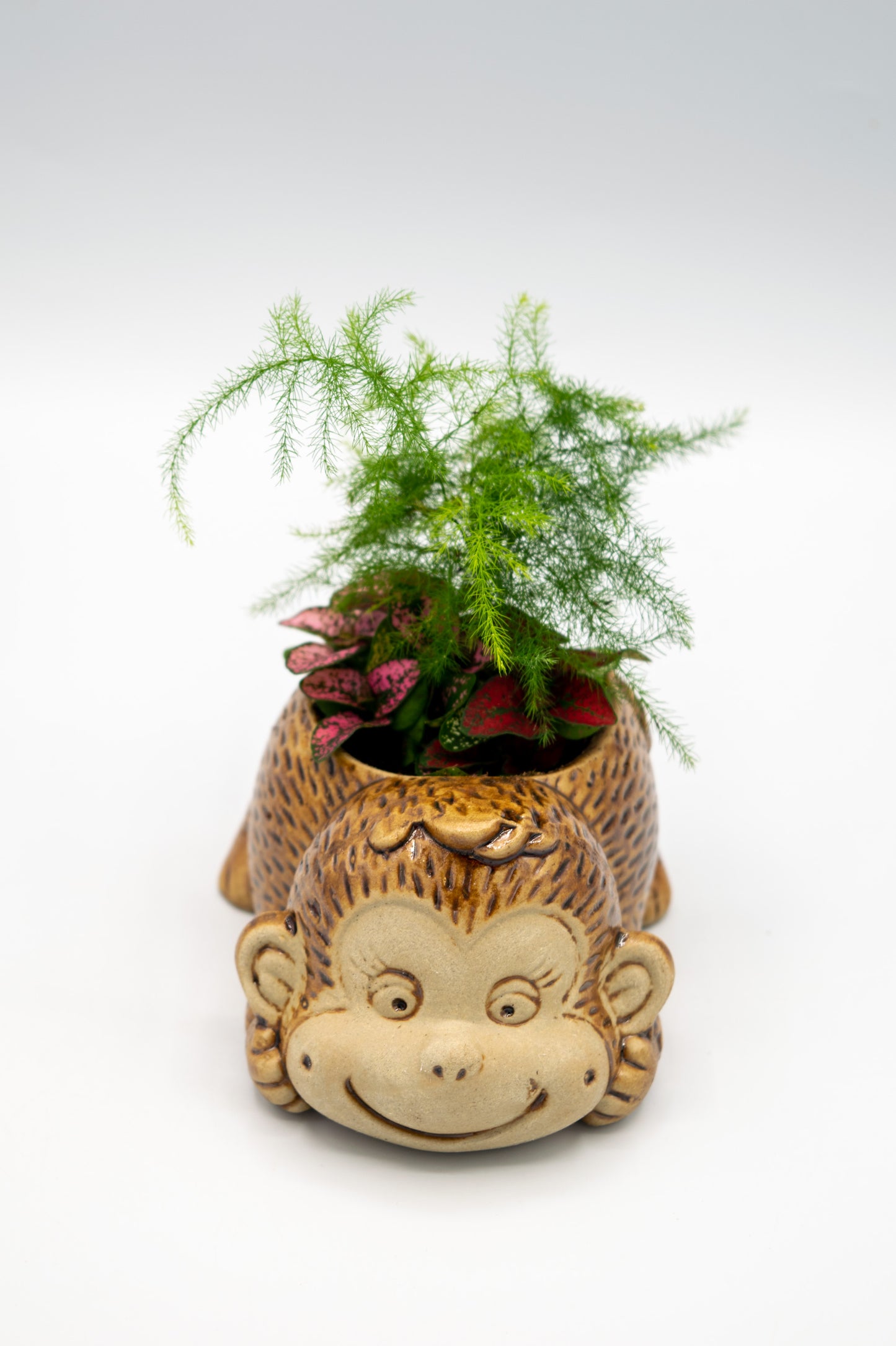 Monkey Front Facing Planter