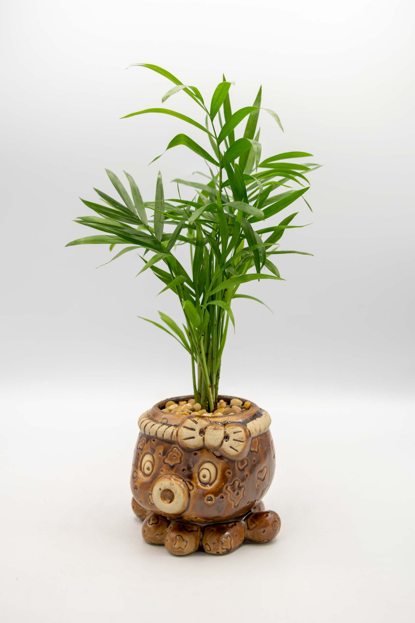 Octopus Planter