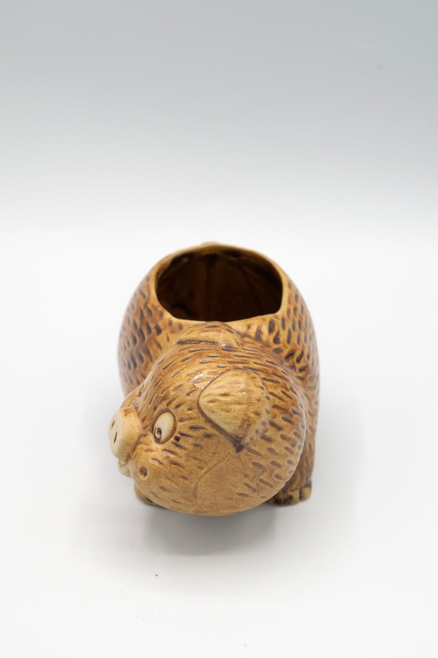 Pig Right Facing Planter
