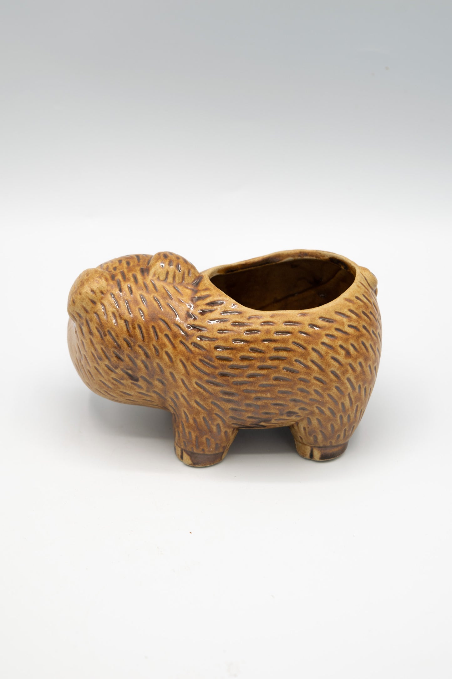 Pig Right Facing Planter