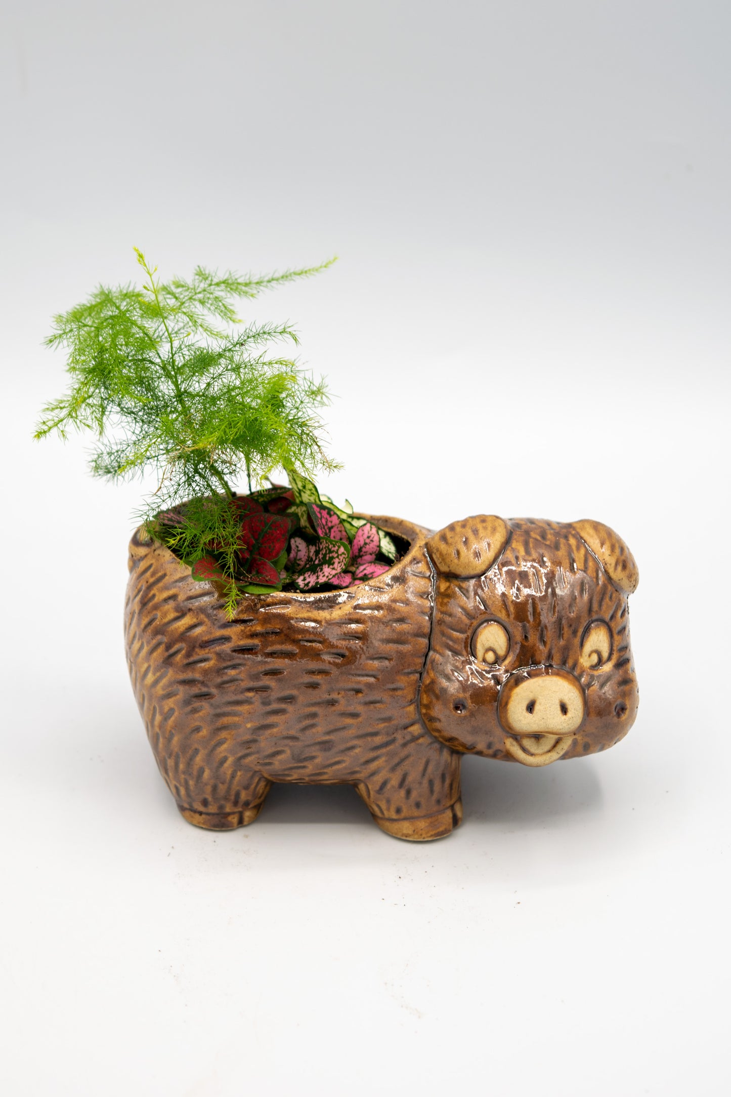 Pig Right Facing Planter