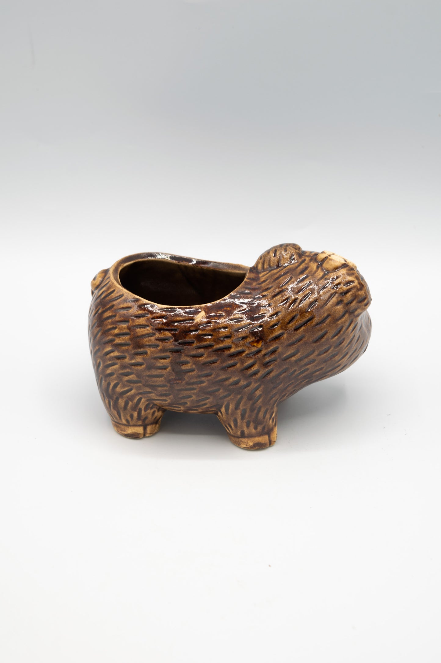 Pig Left Facing Planter
