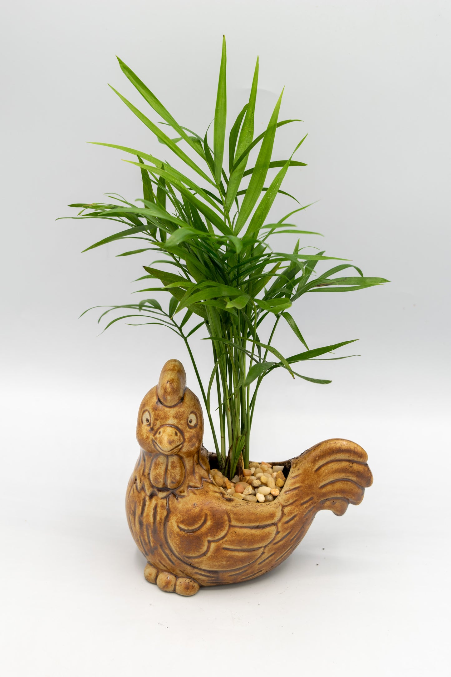 Chicken Left Facing Planter