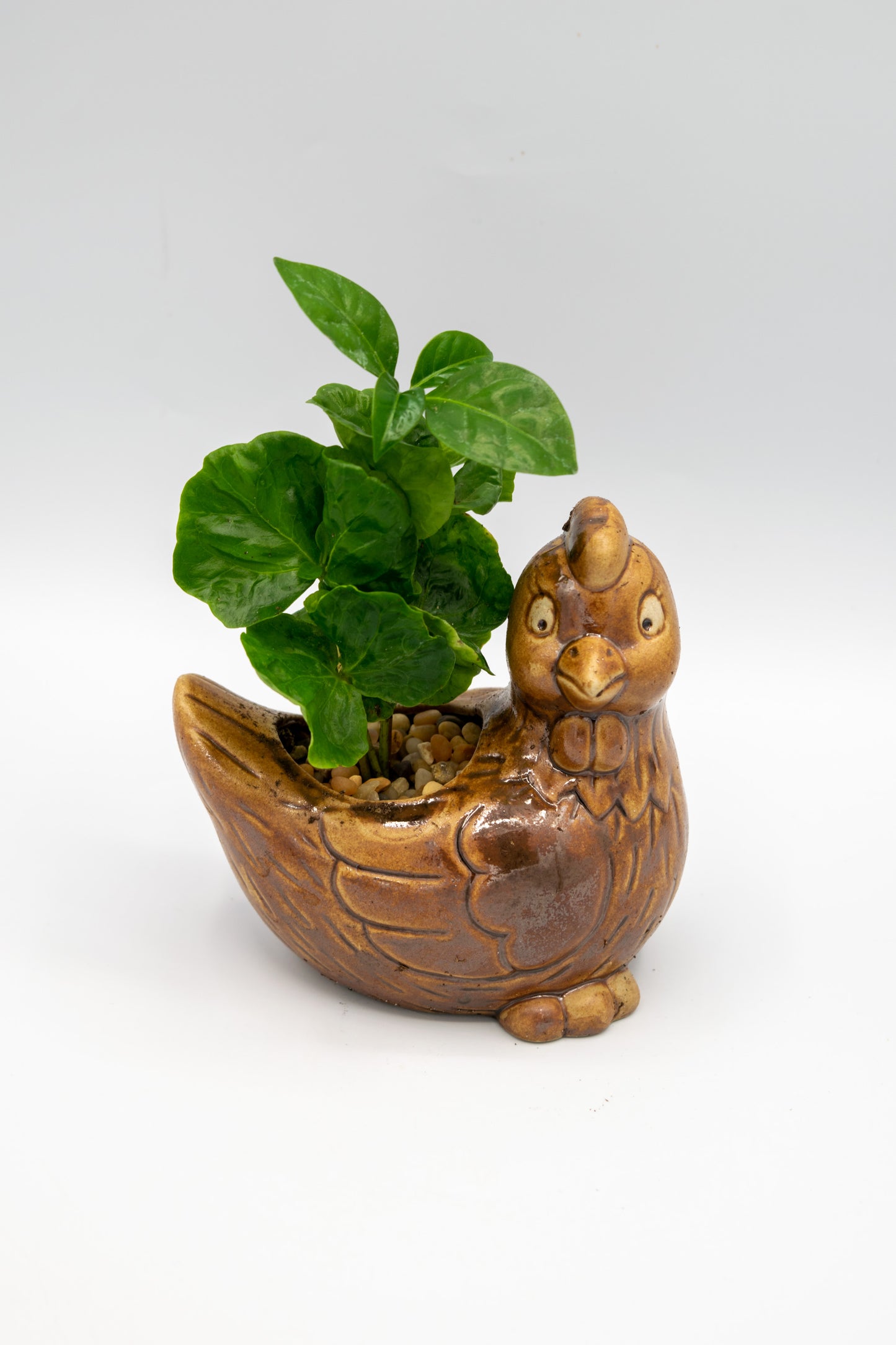 Chicken Right Facing Planter