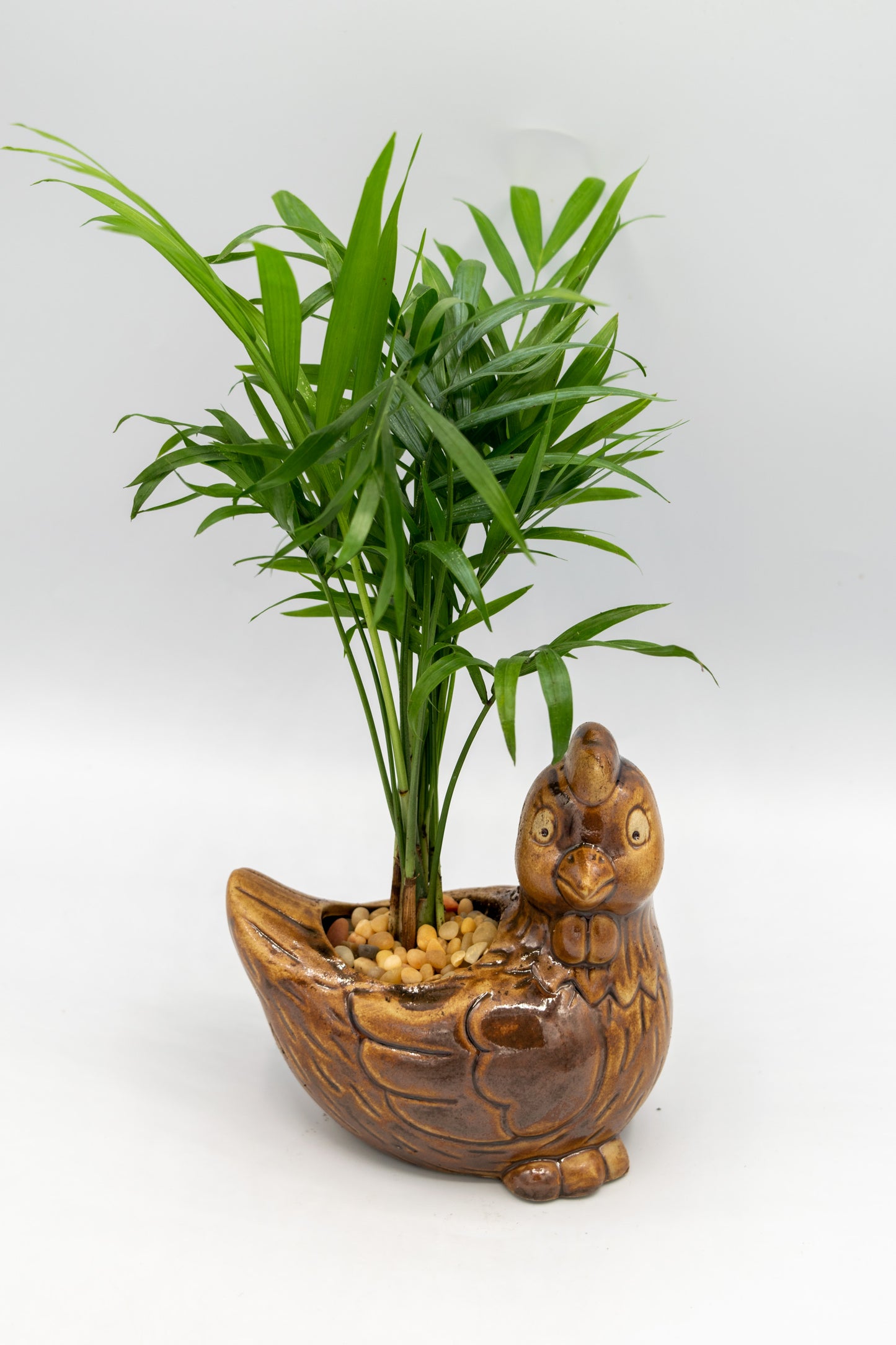 Chicken Right Facing Planter