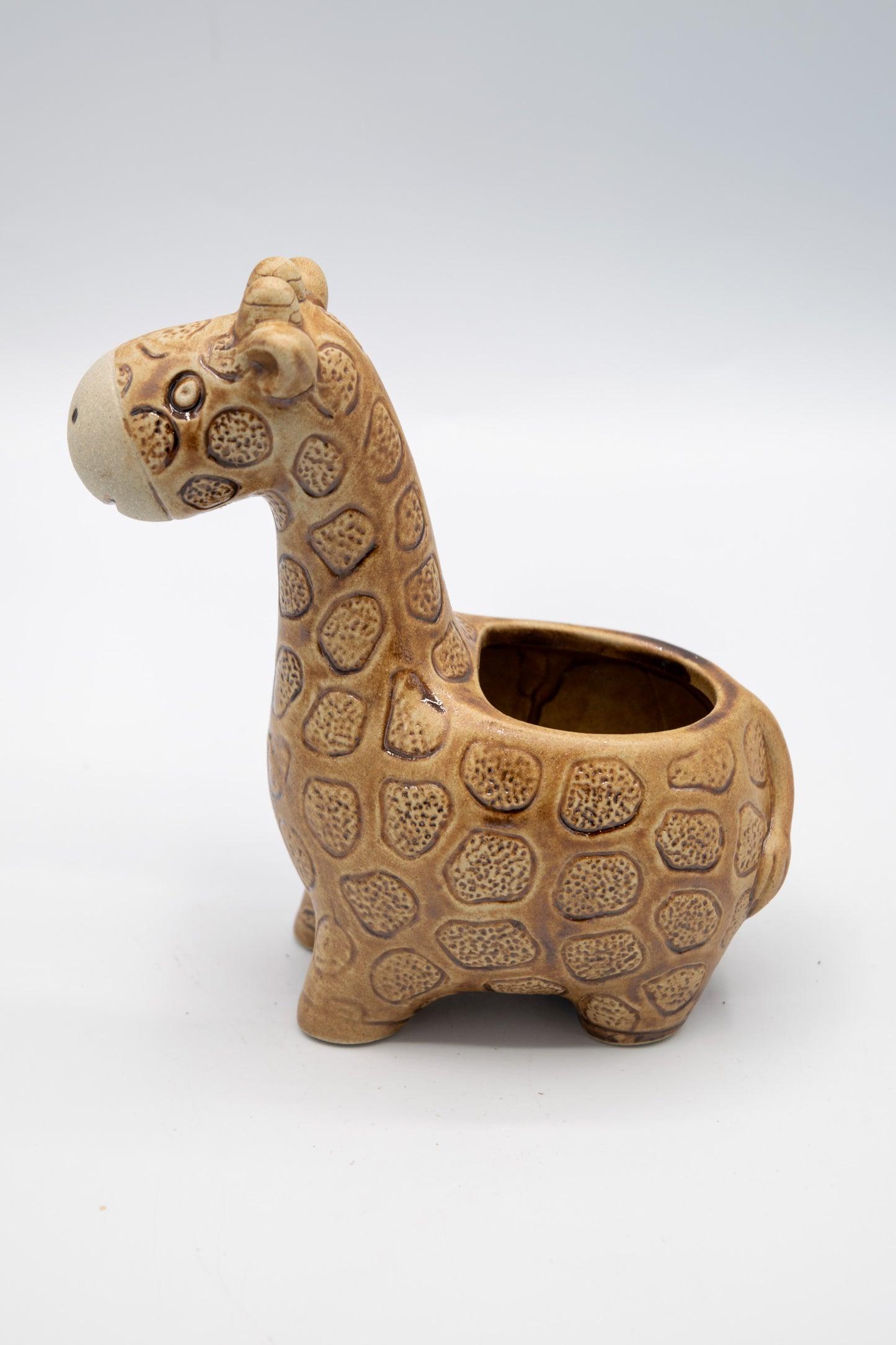 Giraffe Small Planter