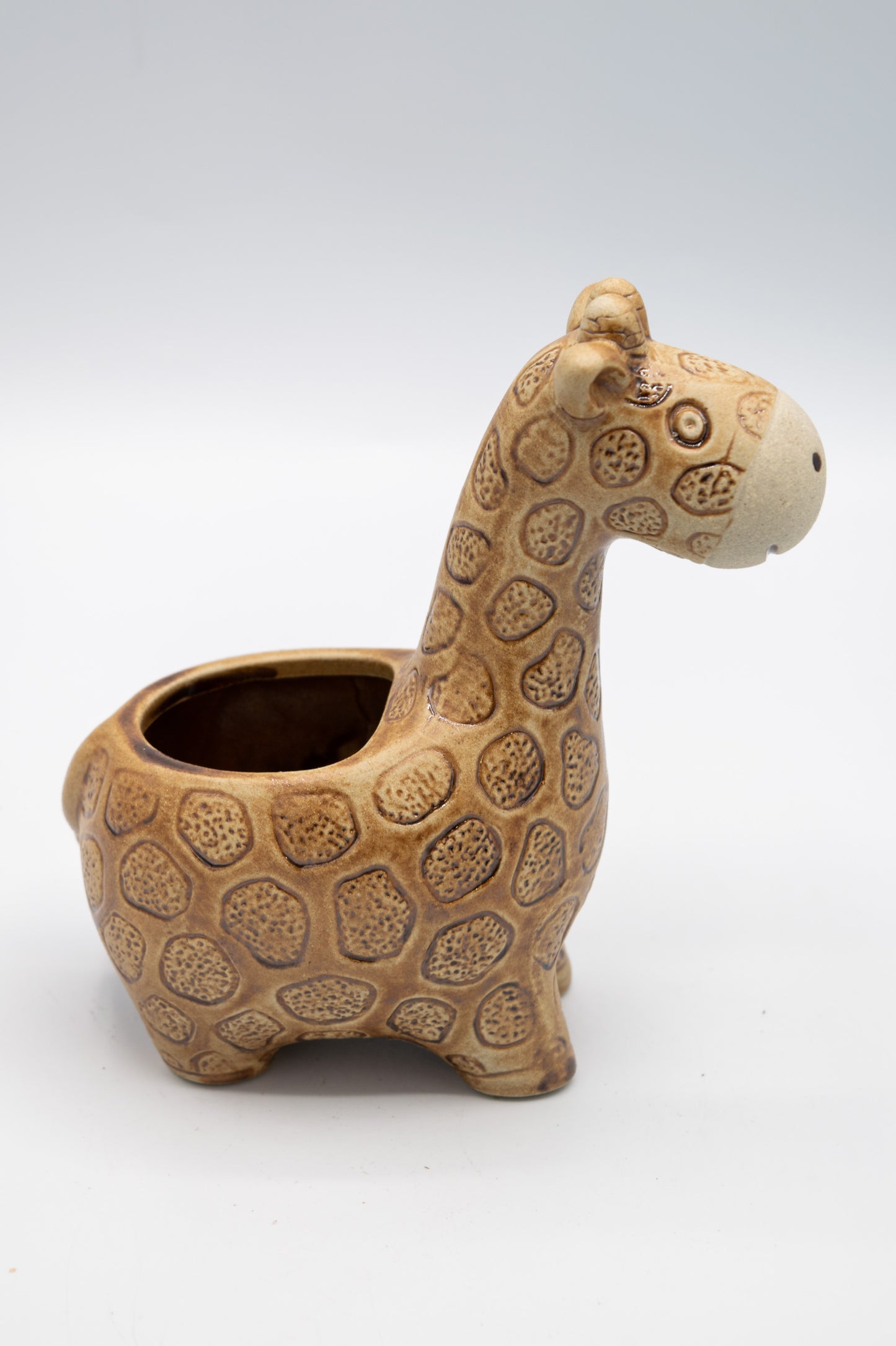 Giraffe Small Planter