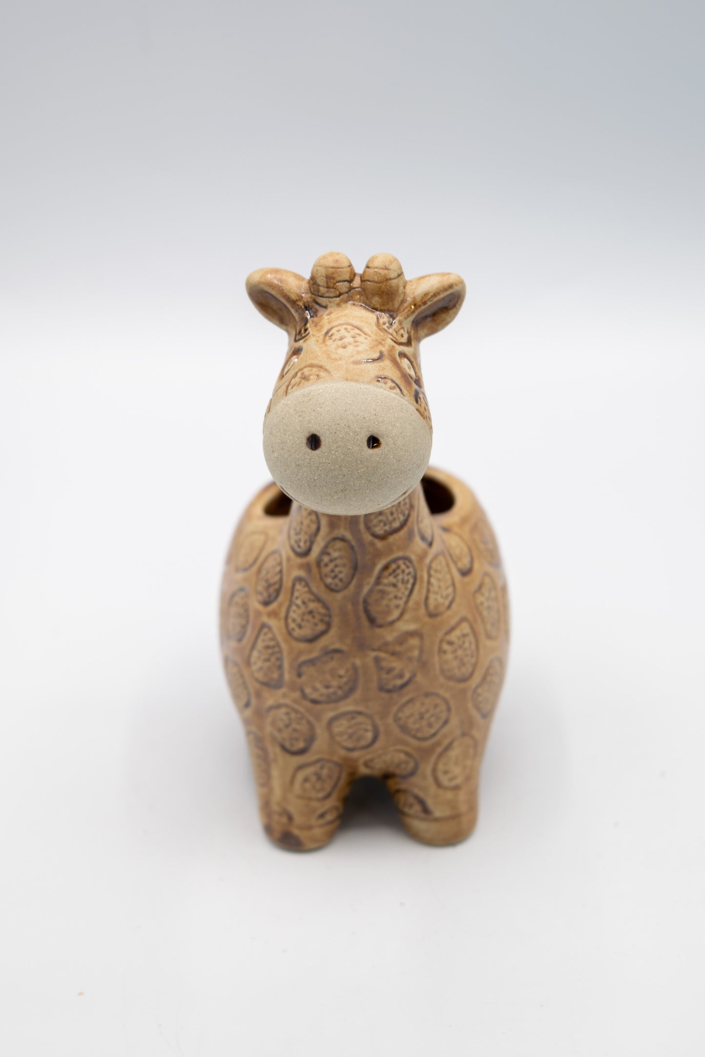 Giraffe Small Planter