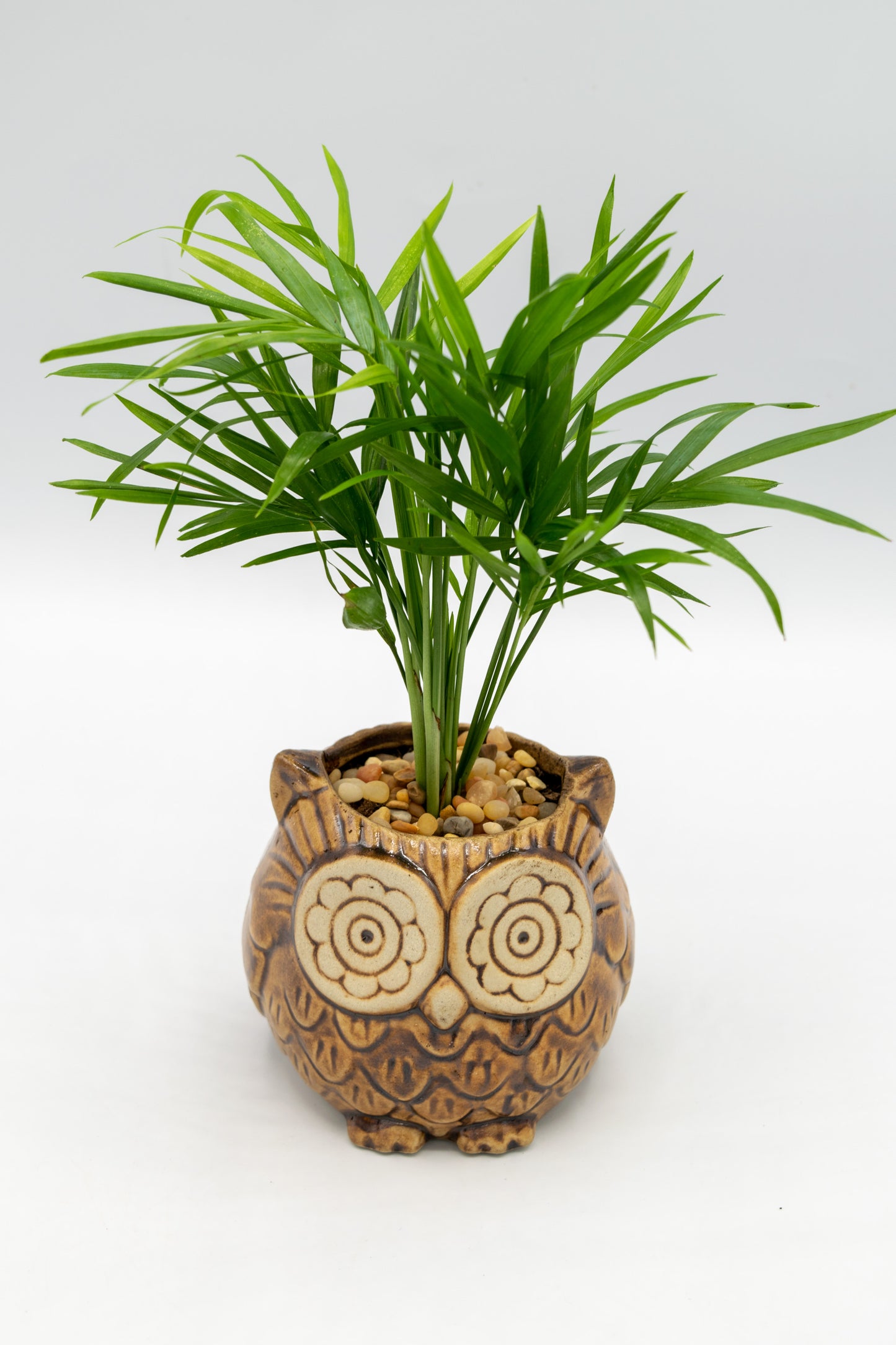 Owl Small Planter