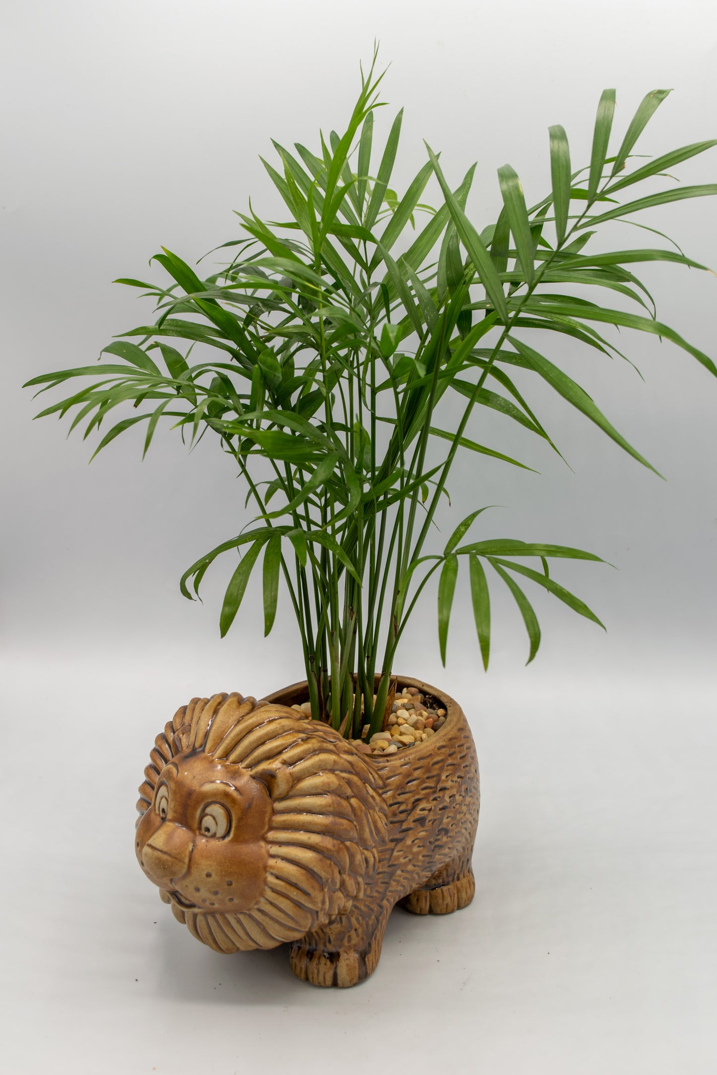 Lion Large Planter