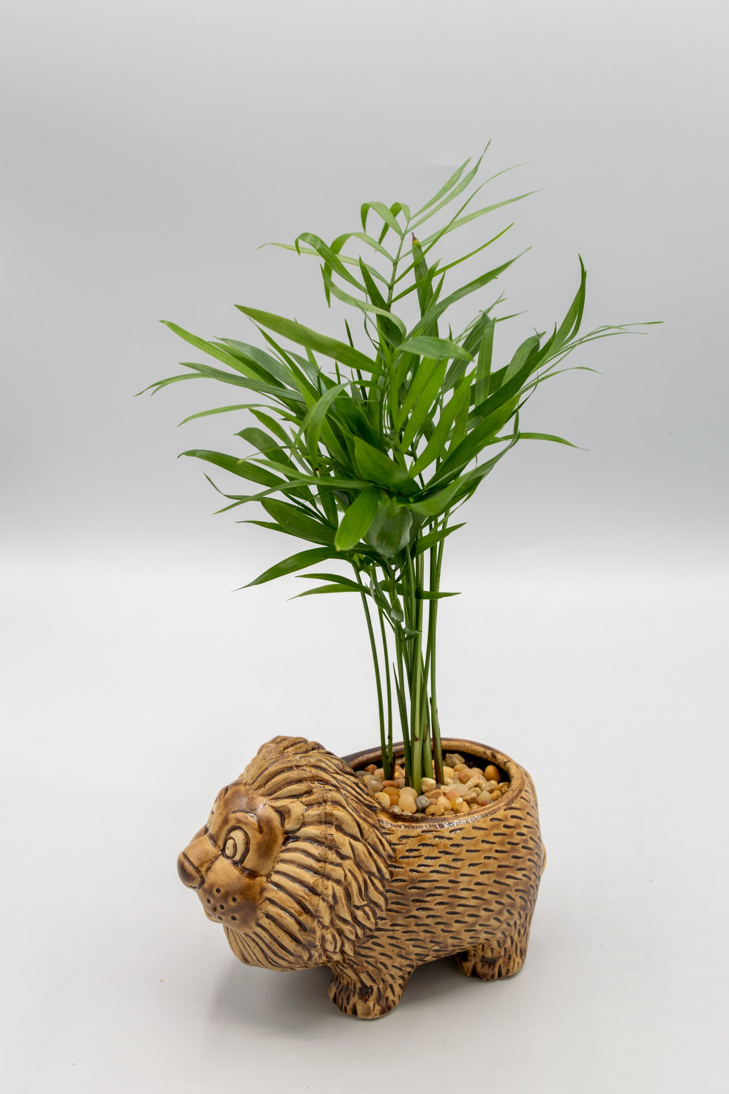 Lion Small Planter