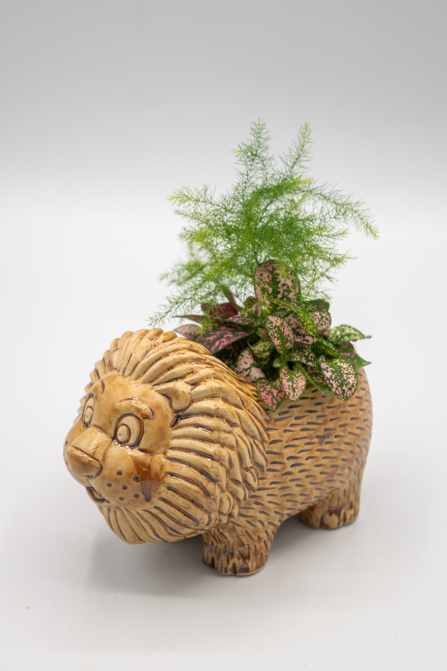 Lion Small Planter