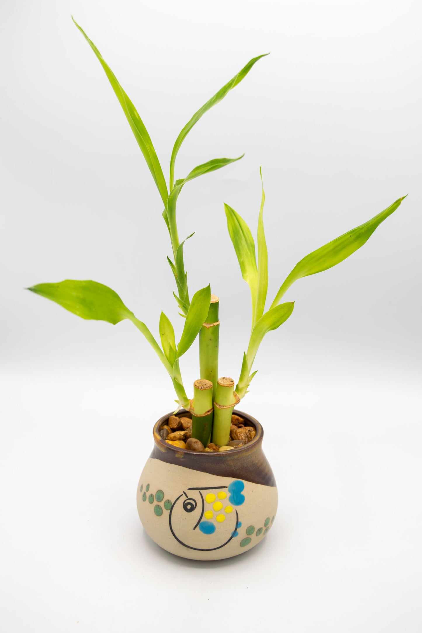 Blowfish Painted Planter