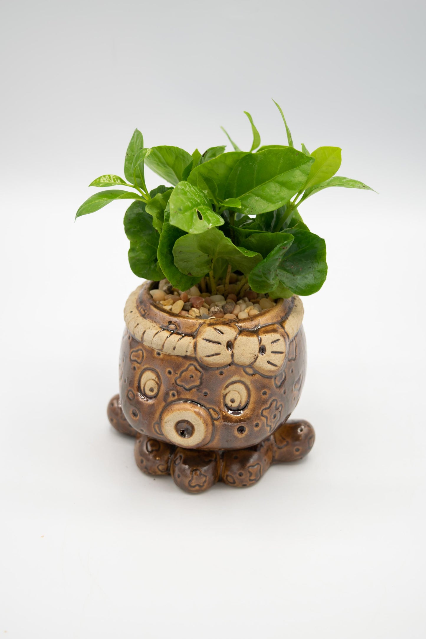 Octopus Planter