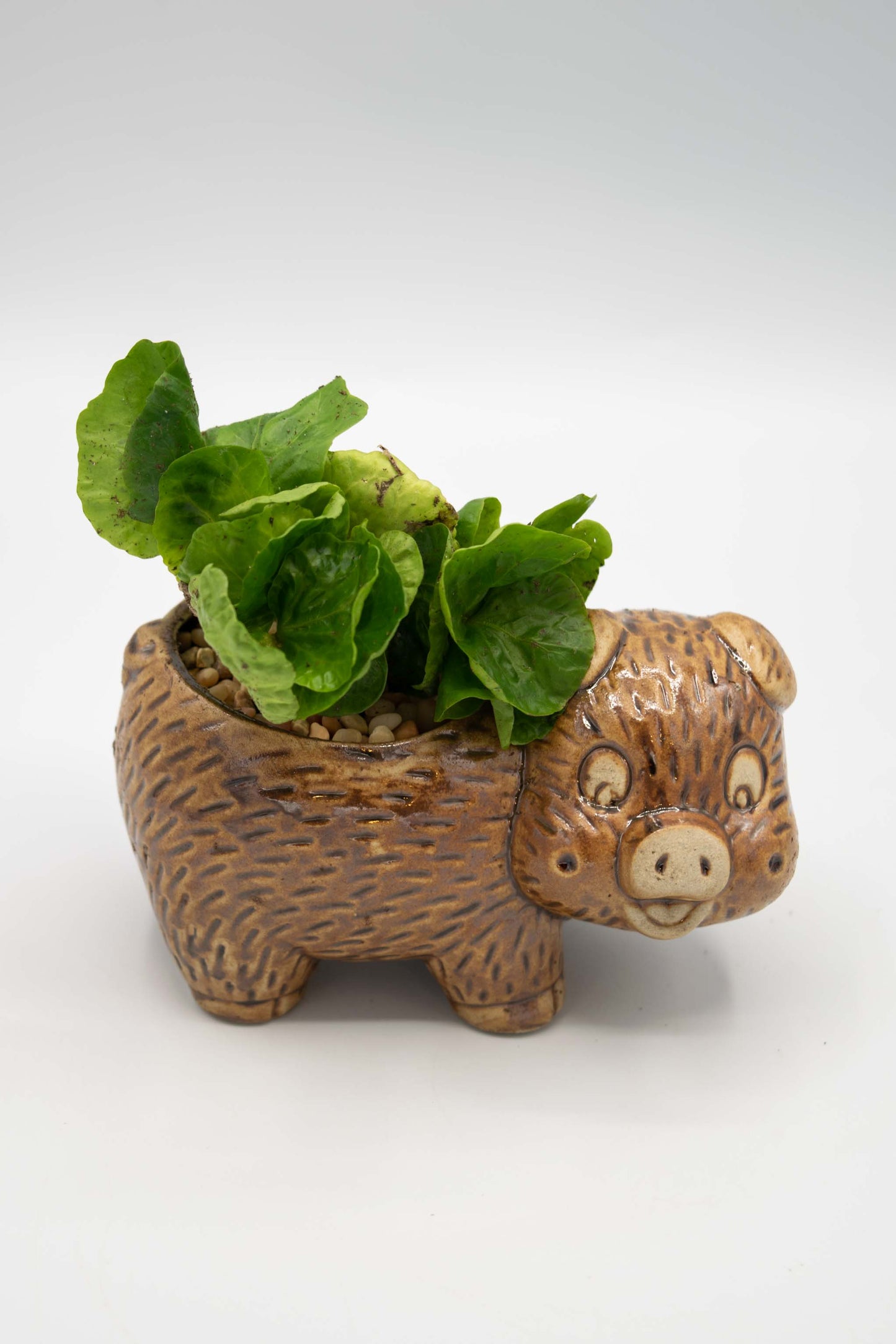 Pig Right Facing Planter