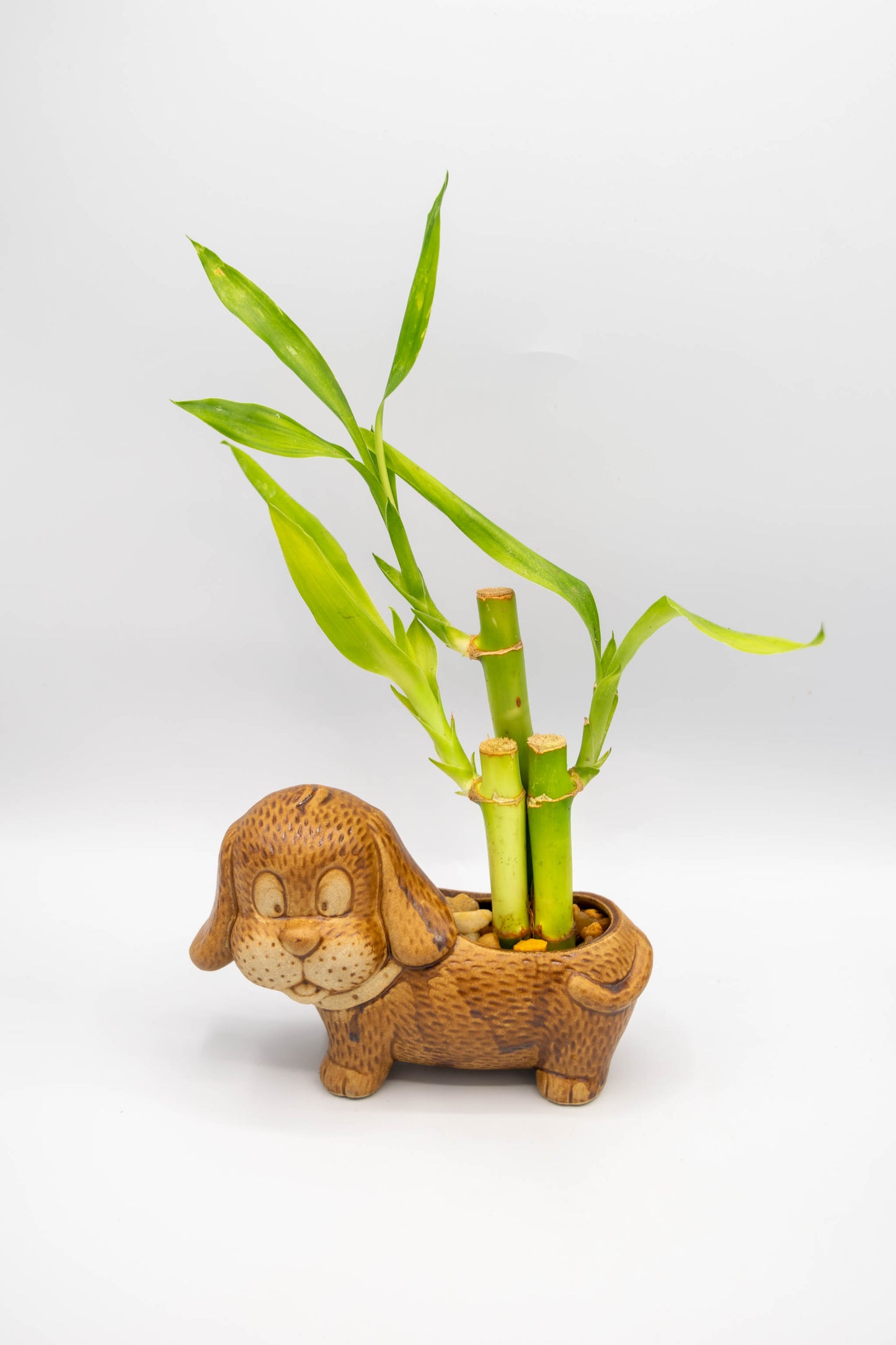 Dachshund Planter