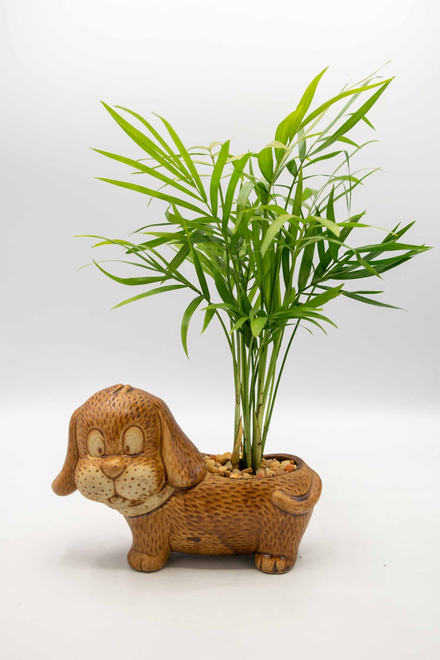 Dachshund Planter