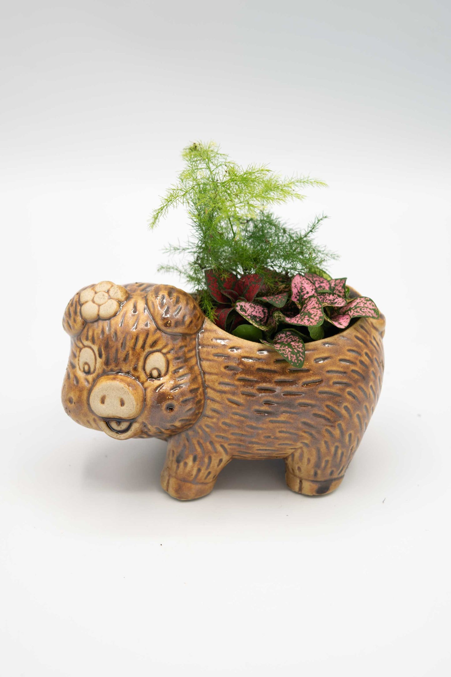 Pig Left Facing Planter