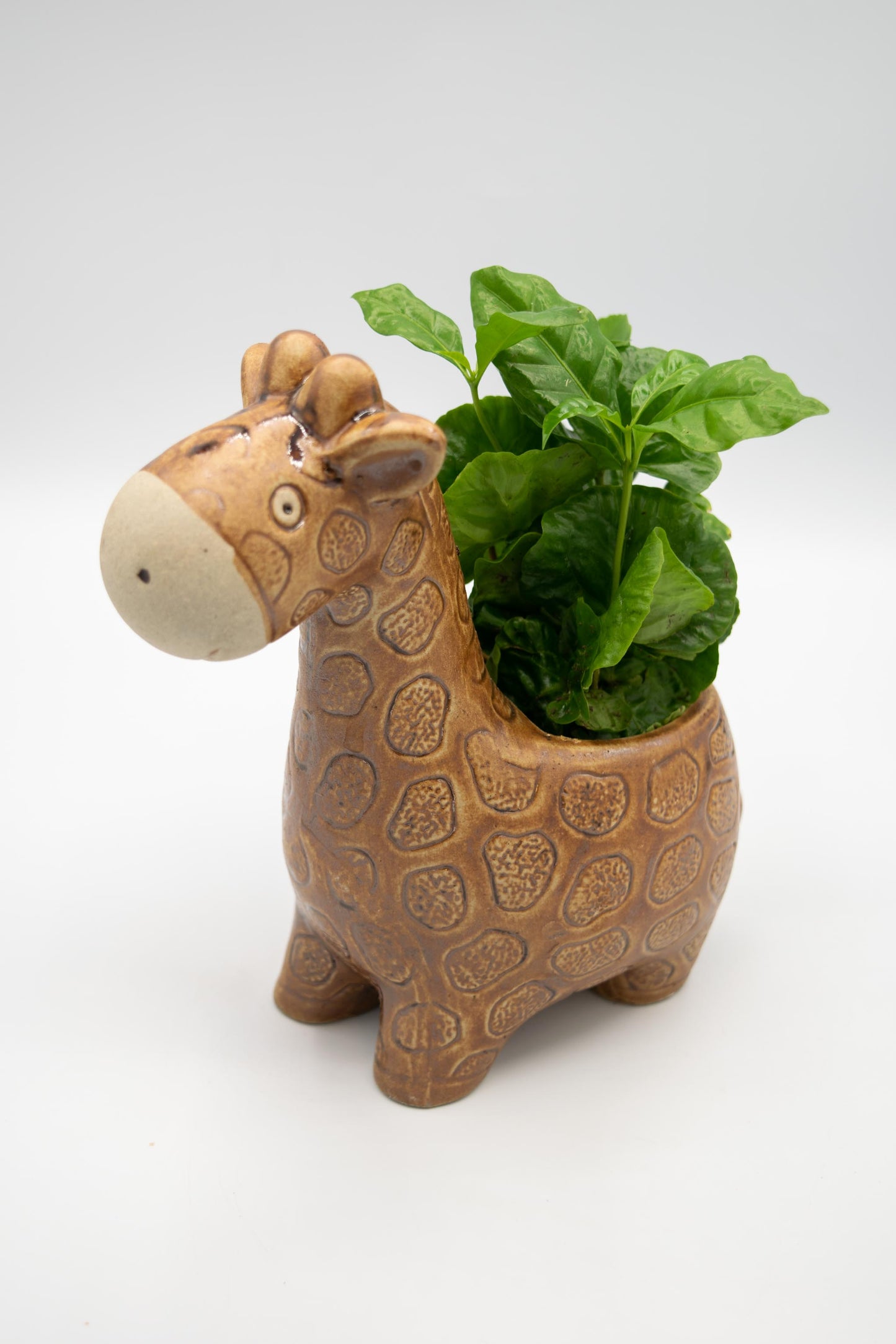 Giraffe Large Planter
