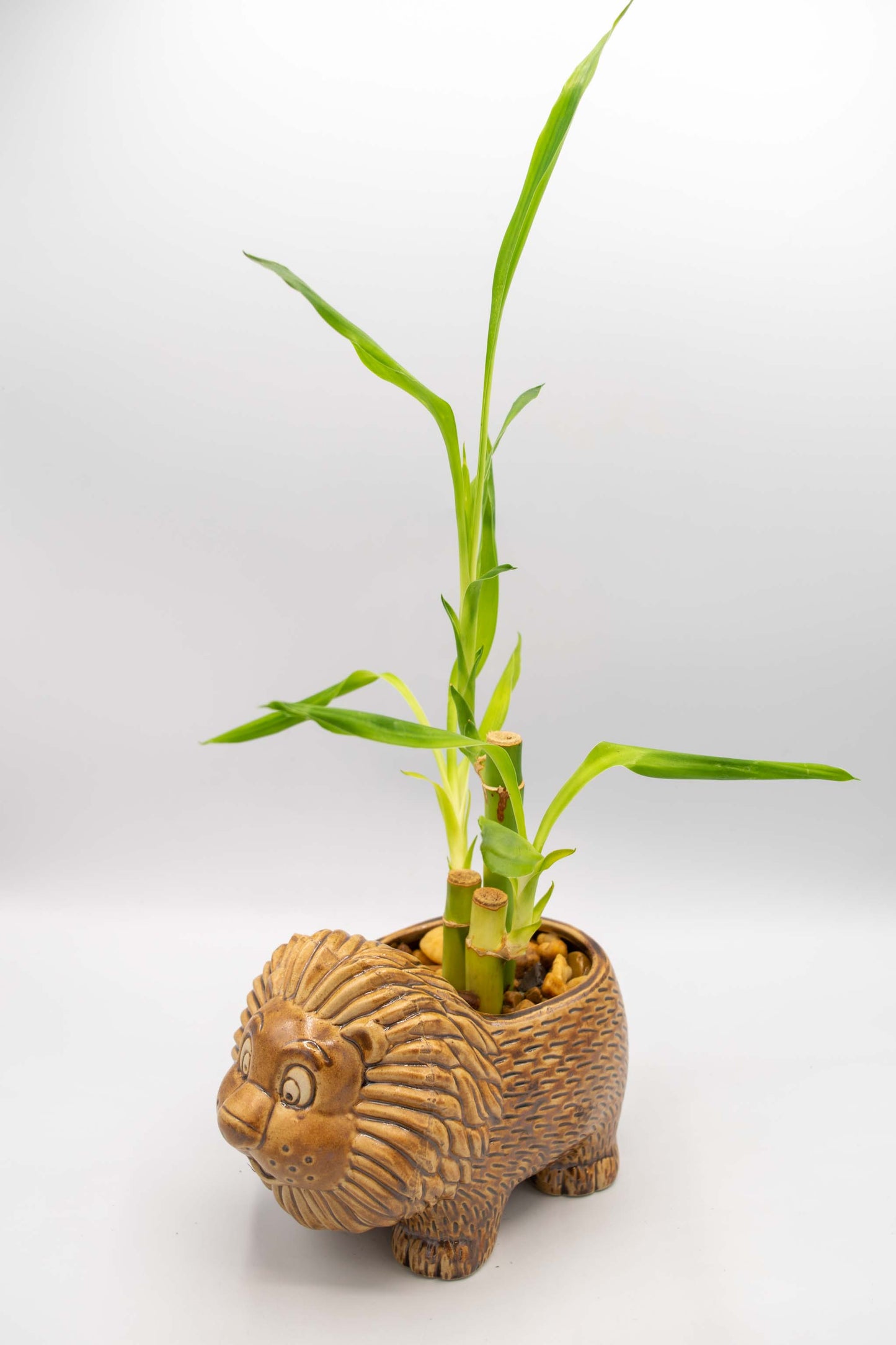 Lion Large Planter