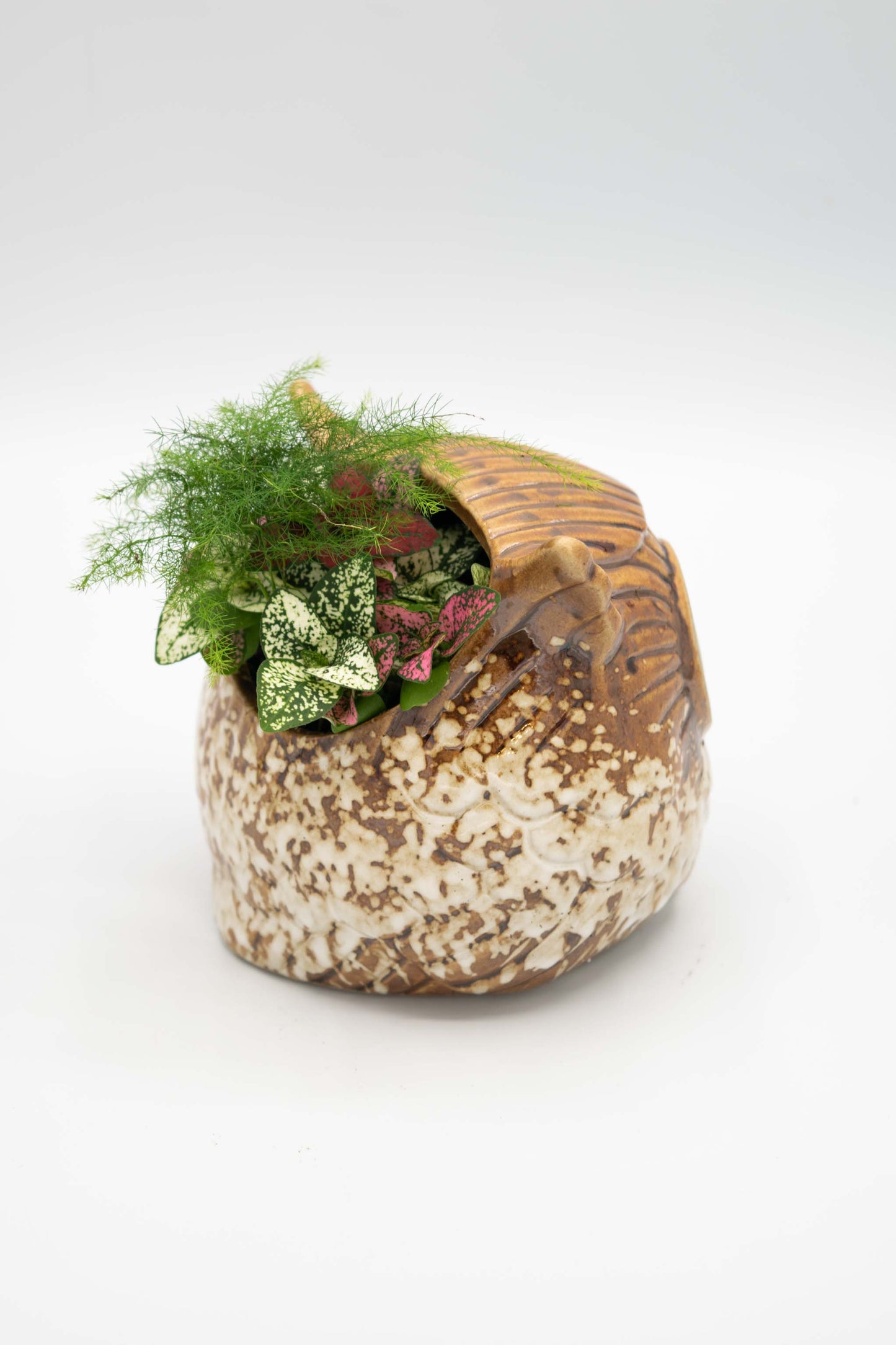 Owl Planter