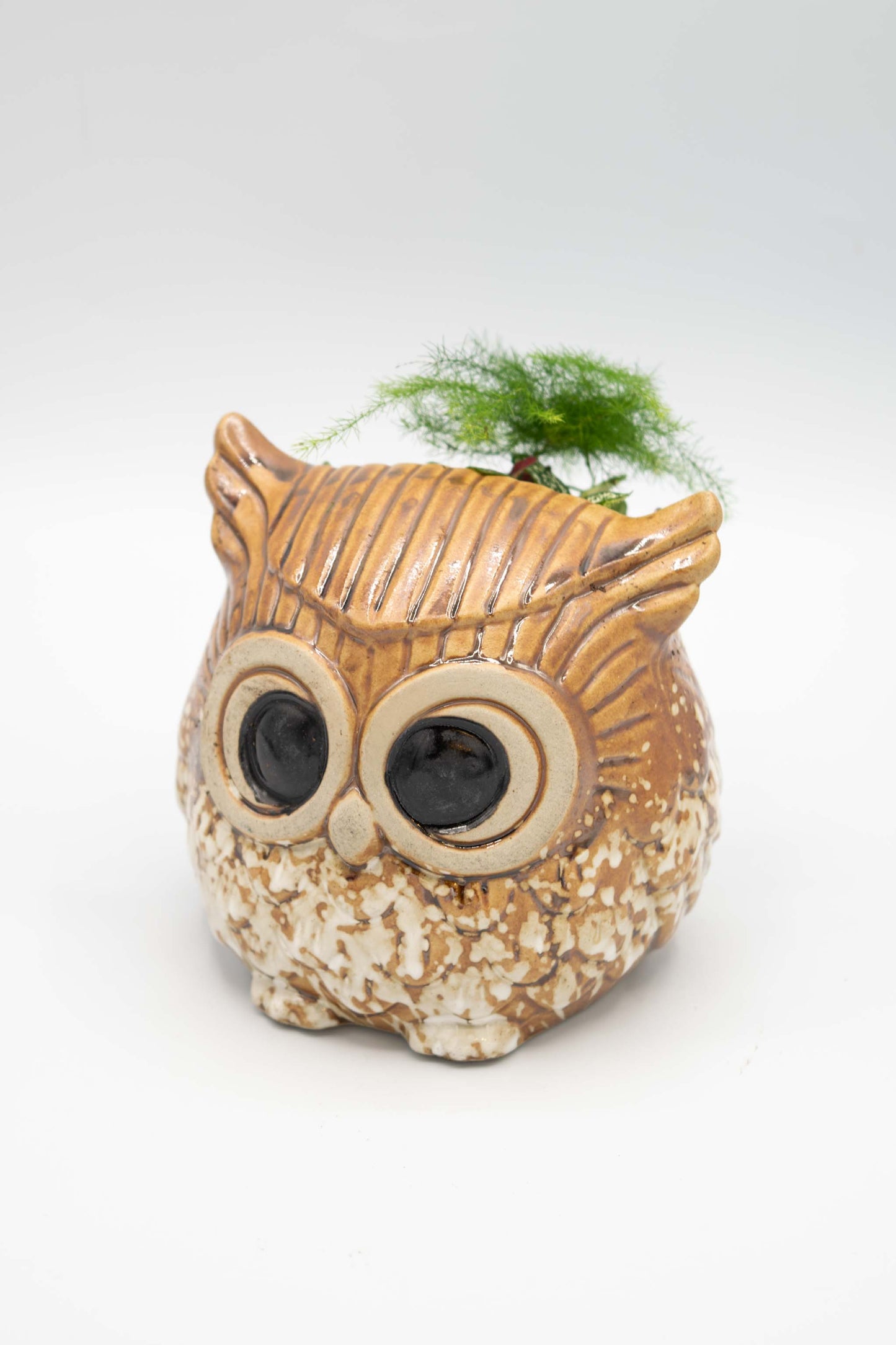 Owl Planter