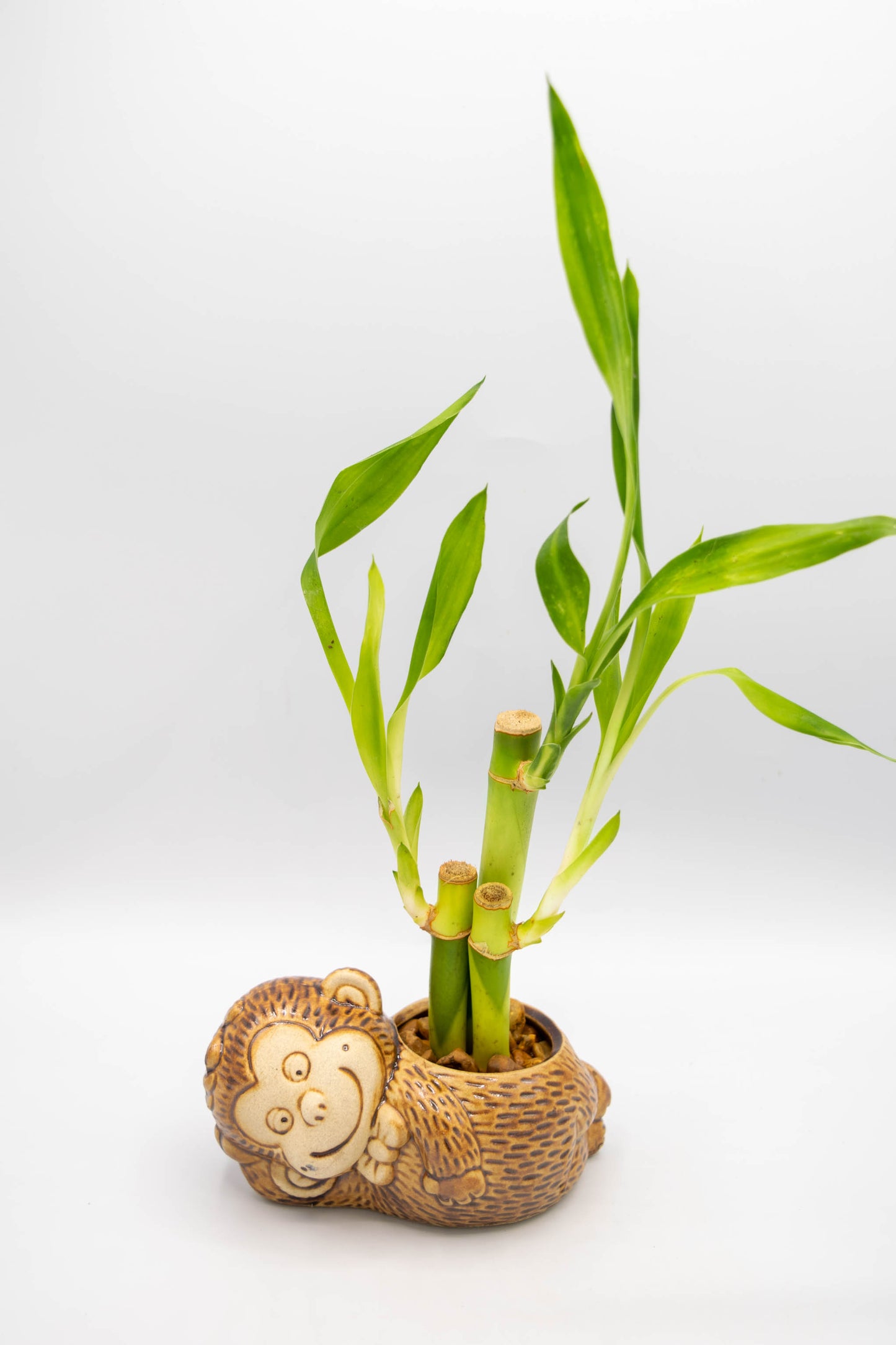 Monkey Bowtie Planter