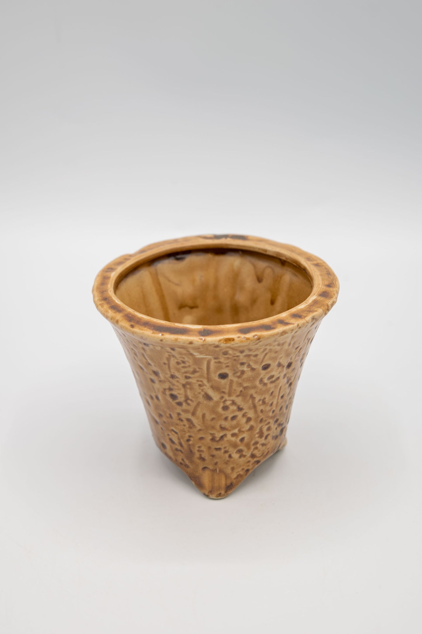 Orchid Planter
