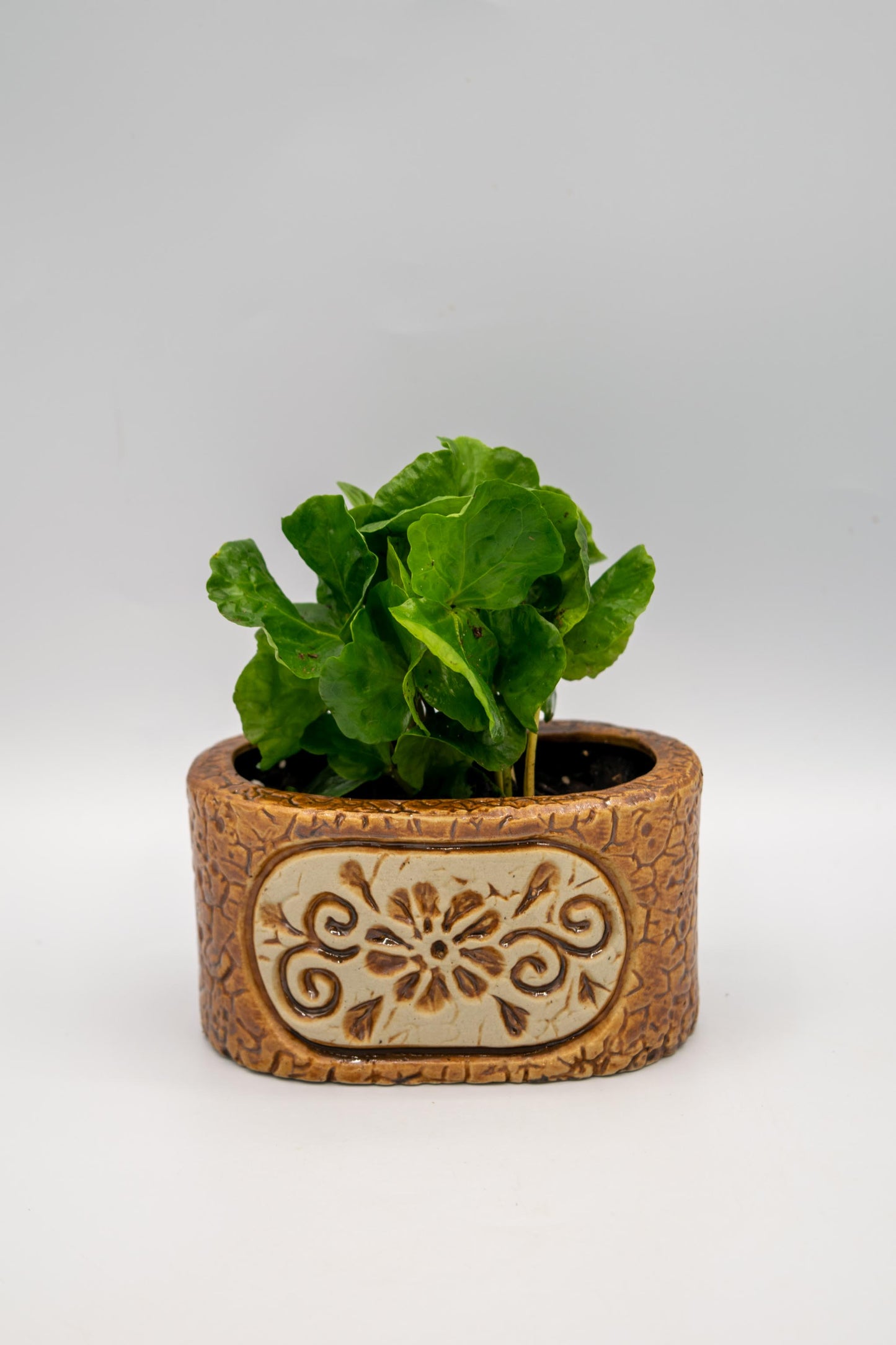 Ceramic Oval Floral Planter