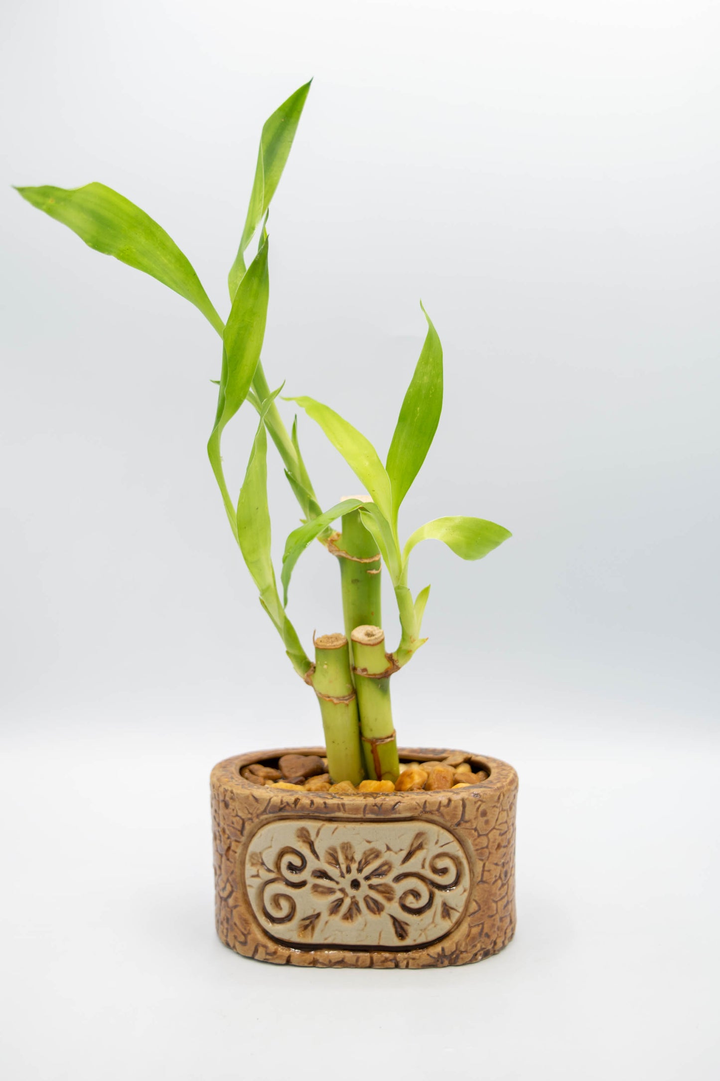 Ceramic Oval Floral Planter
