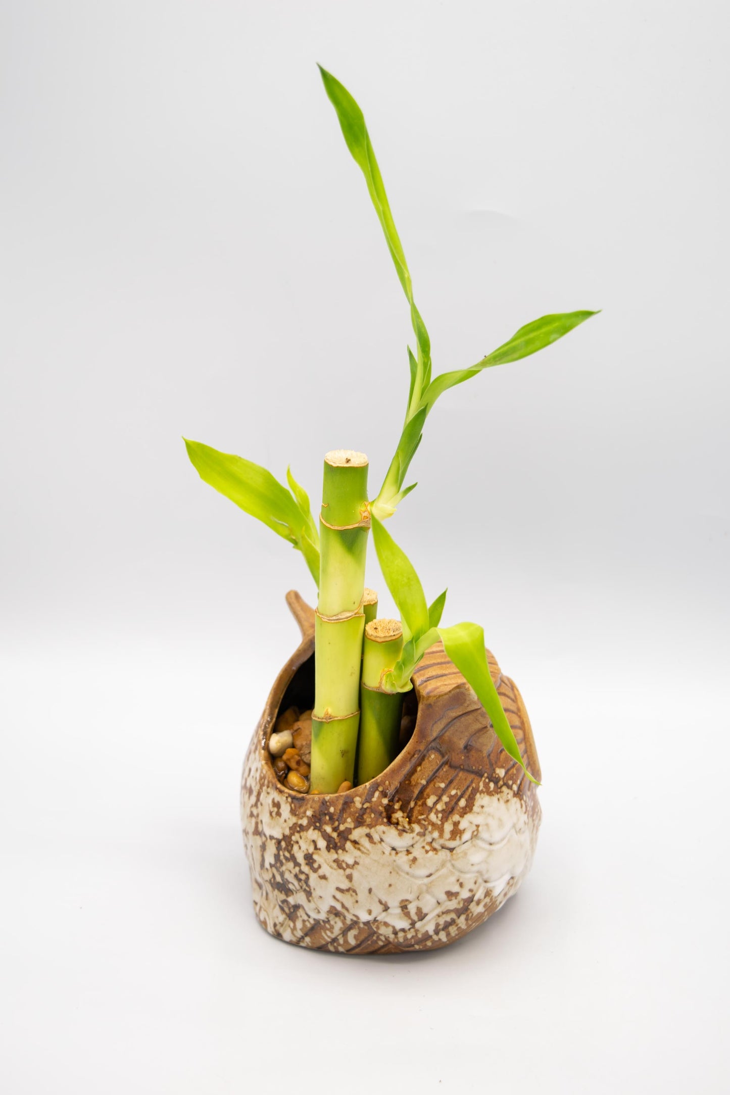 Owl Planter