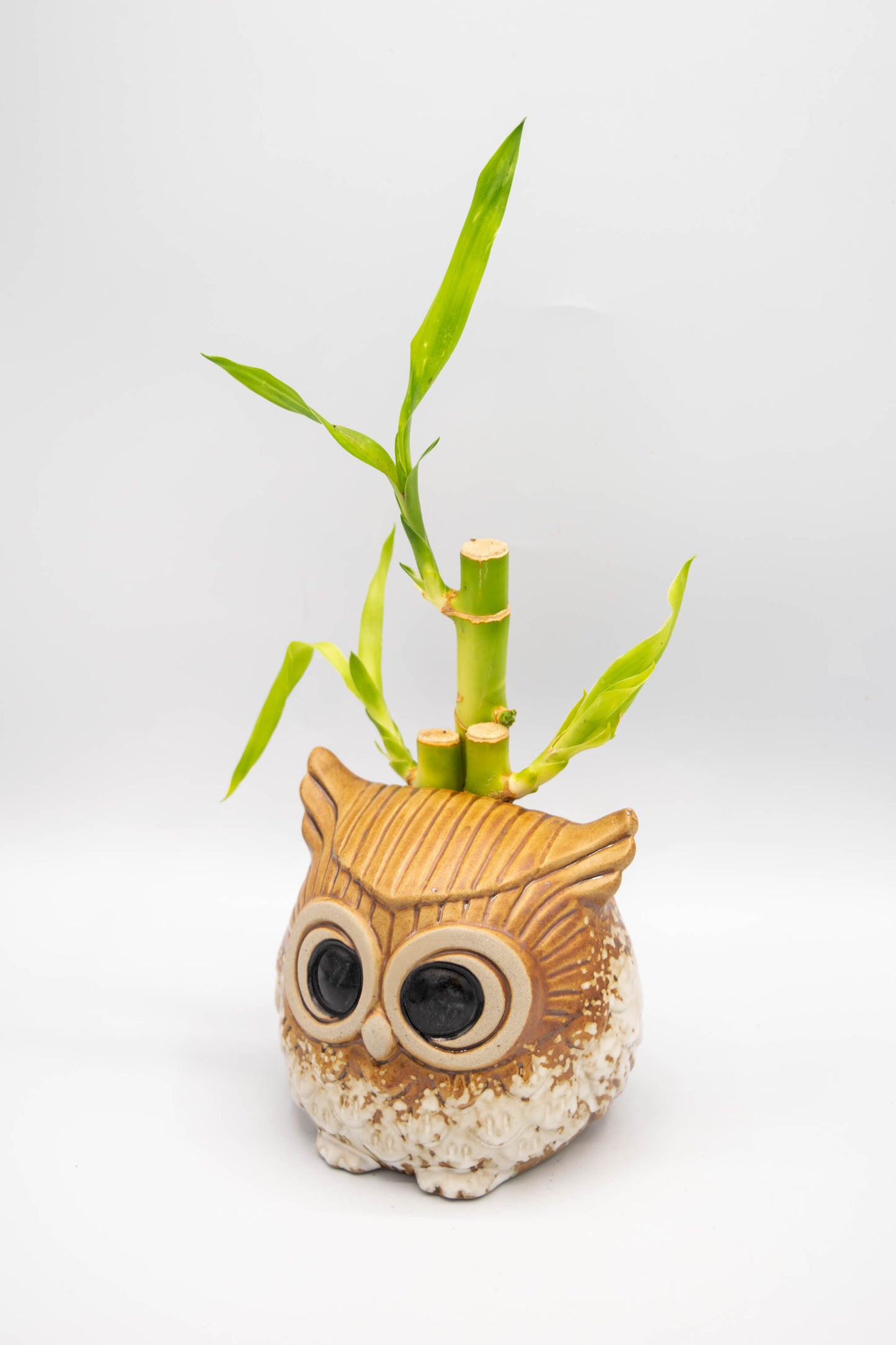 Owl Planter