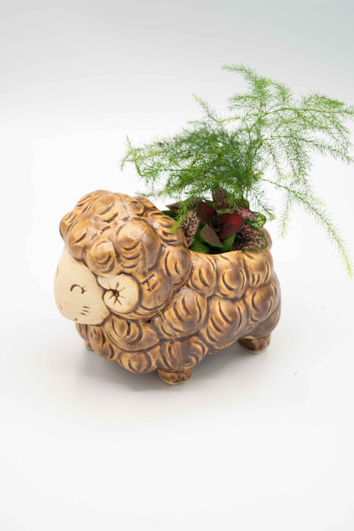 Sheep Front Facing Planter