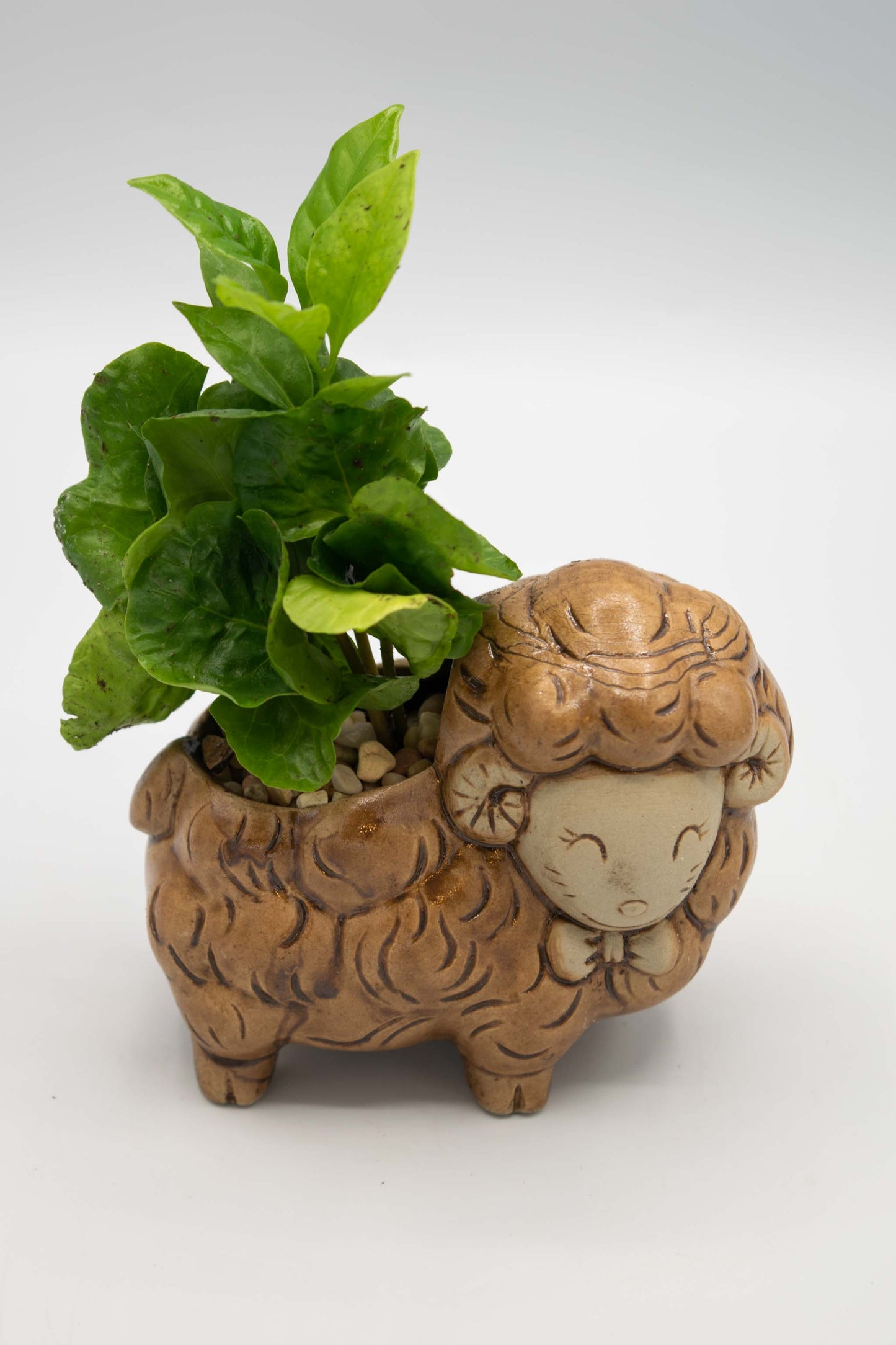 Sheep Right Facing Planter