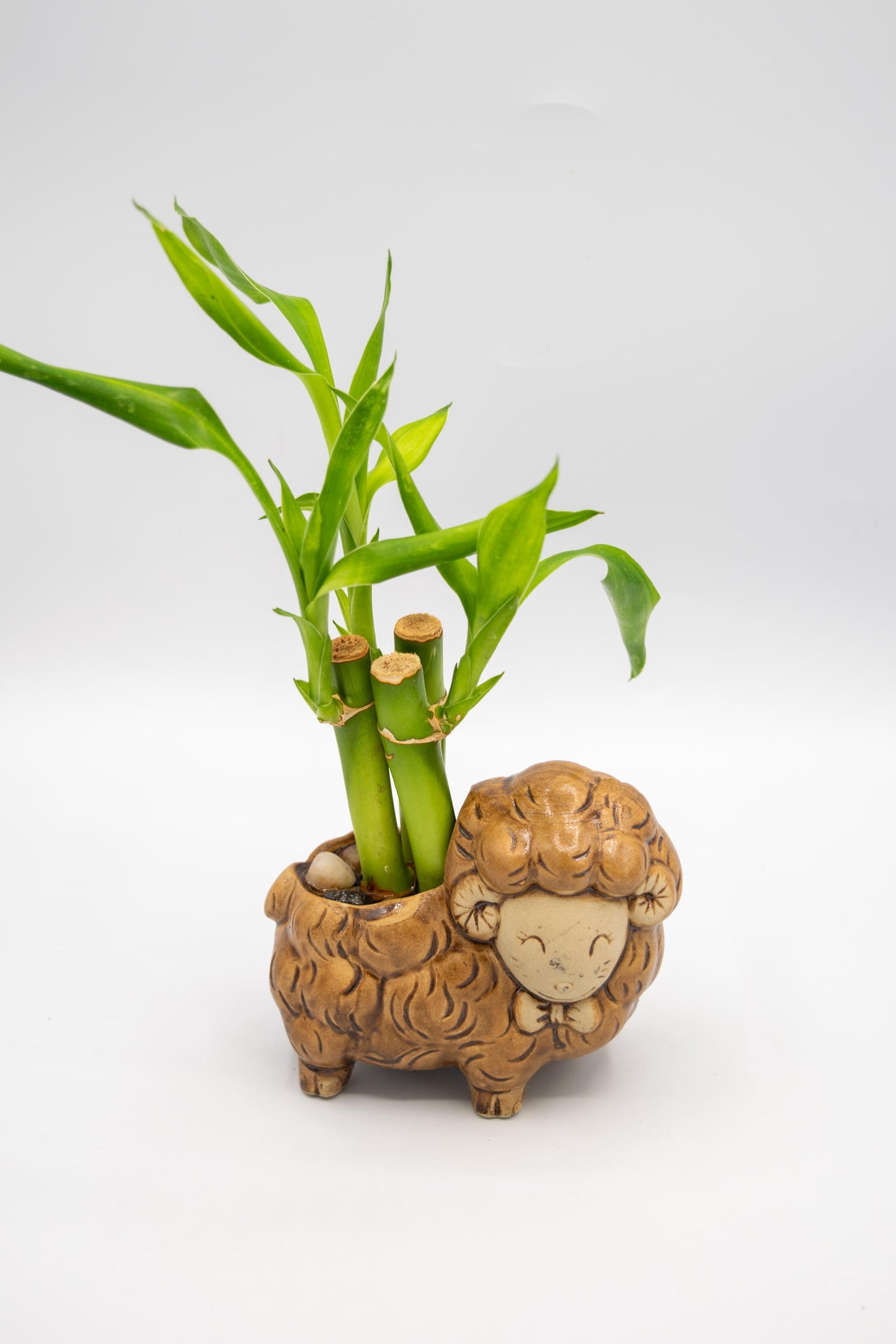 Sheep Right Facing Planter