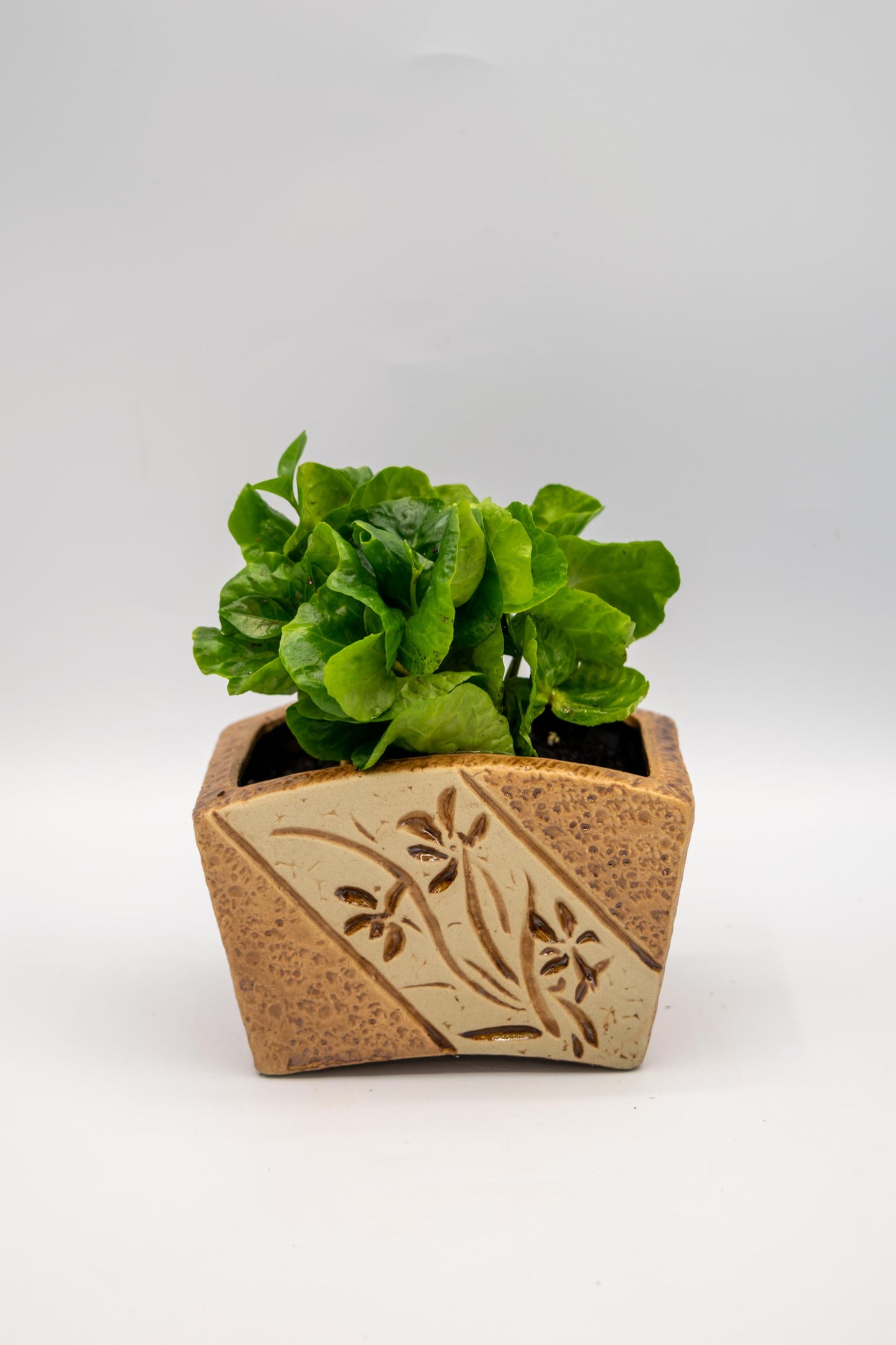 Ceramic Rectangle Orchid Floral Planter
