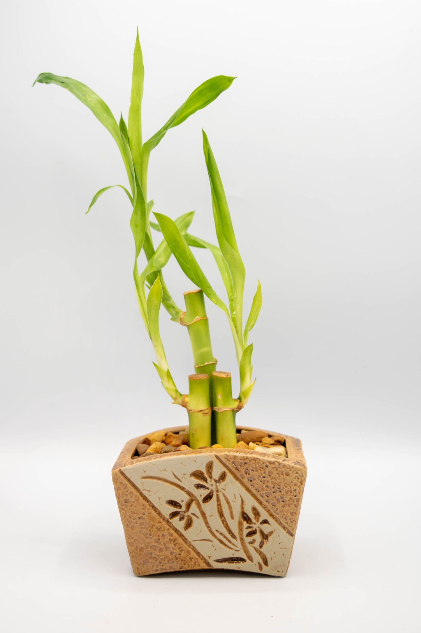 Ceramic Rectangle Orchid Floral Planter