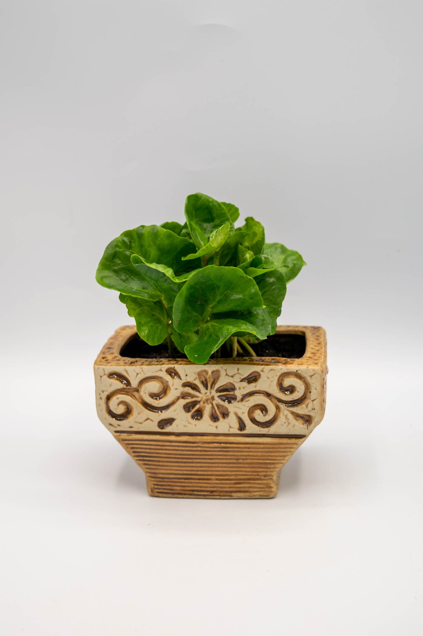 Ceramic Rectangle Foral Planter