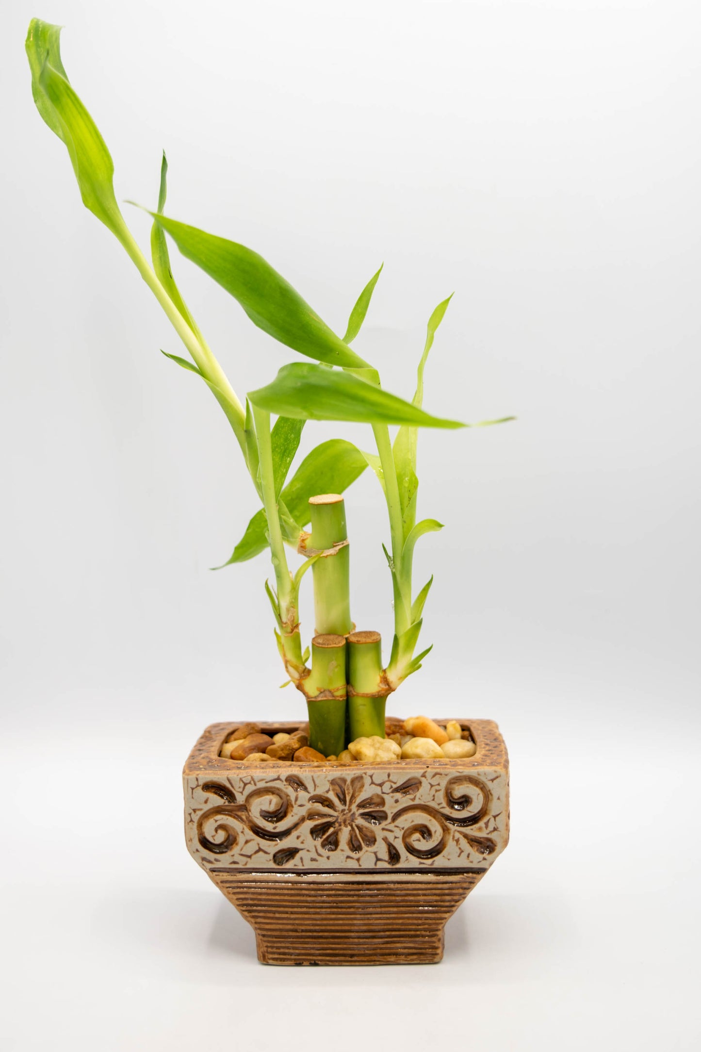 Ceramic Rectangle Foral Planter
