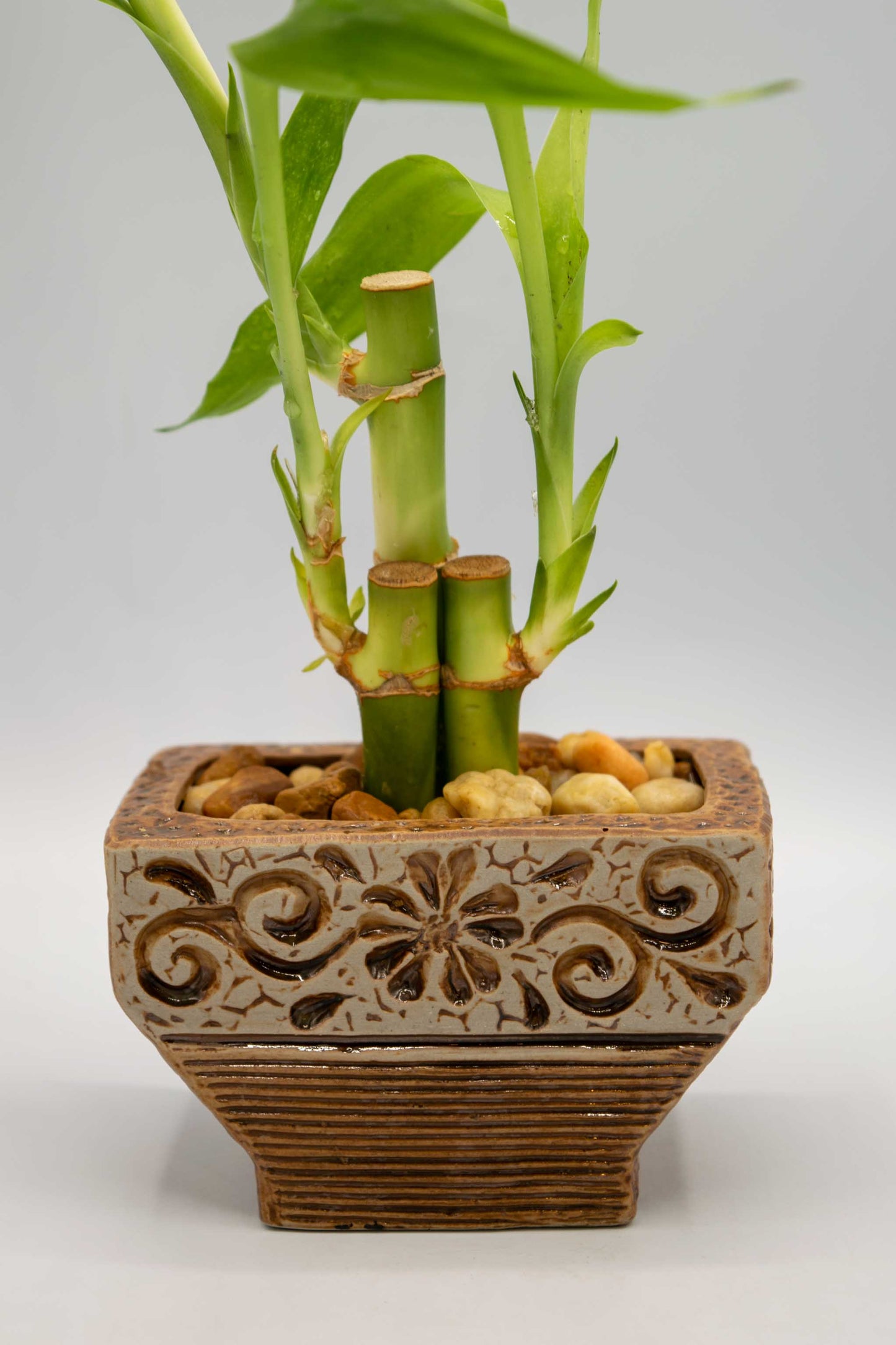 Ceramic Rectangle Foral Planter