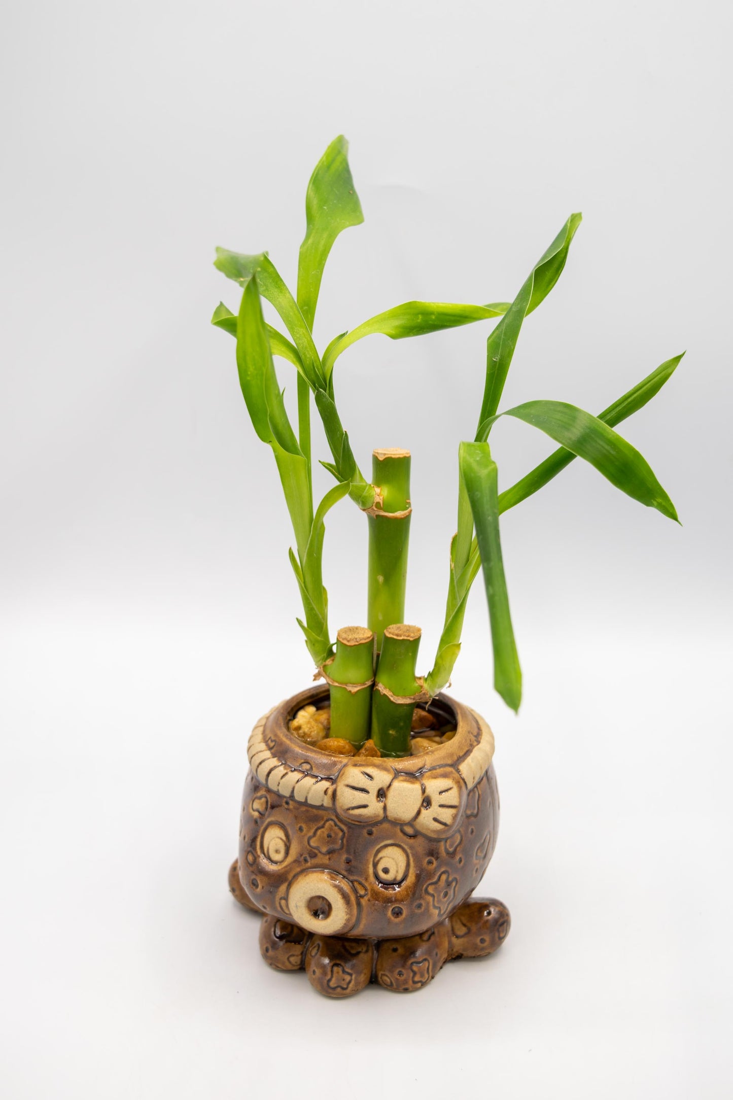 Octopus Planter