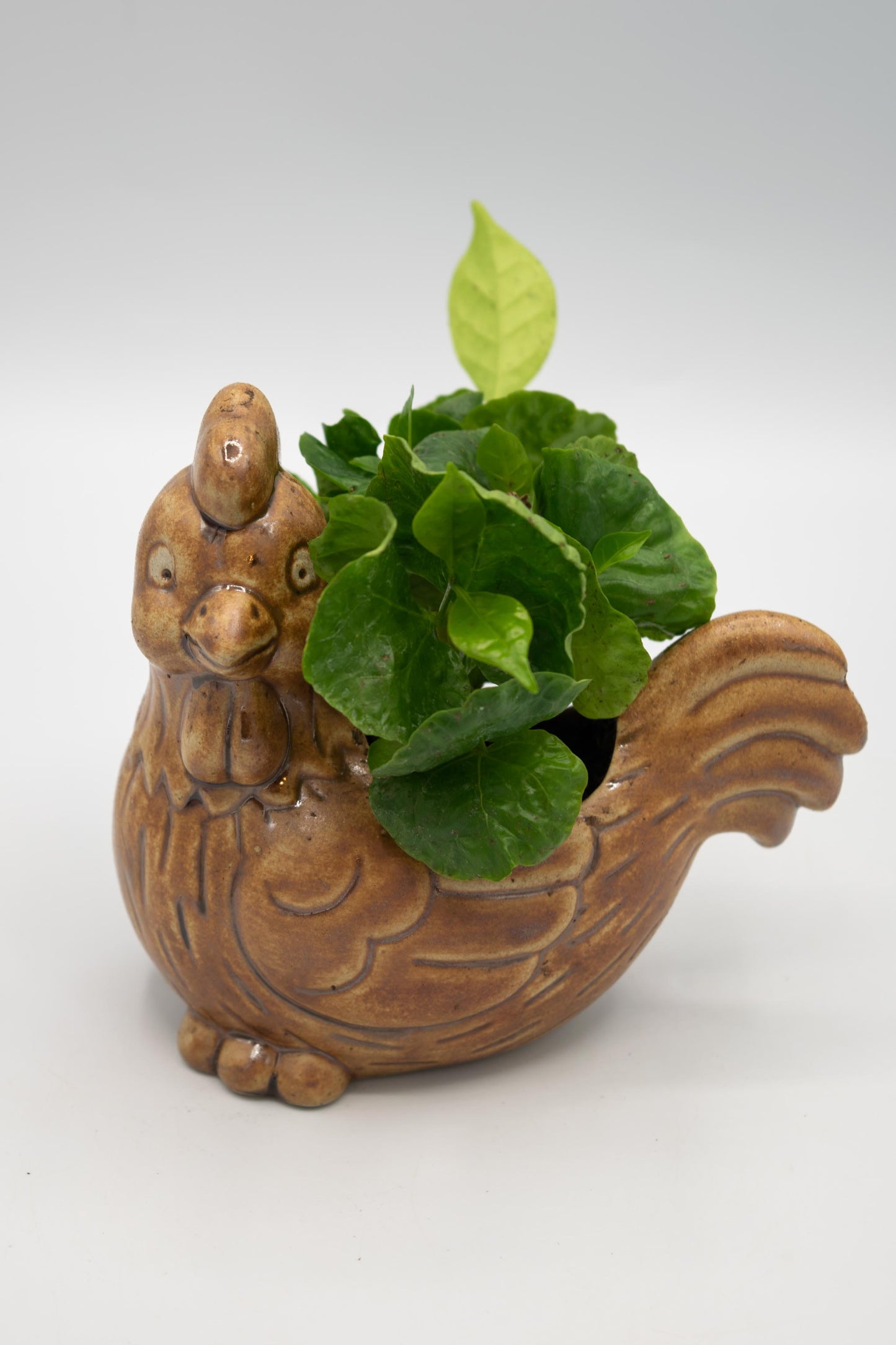 Chicken Left Facing Planter