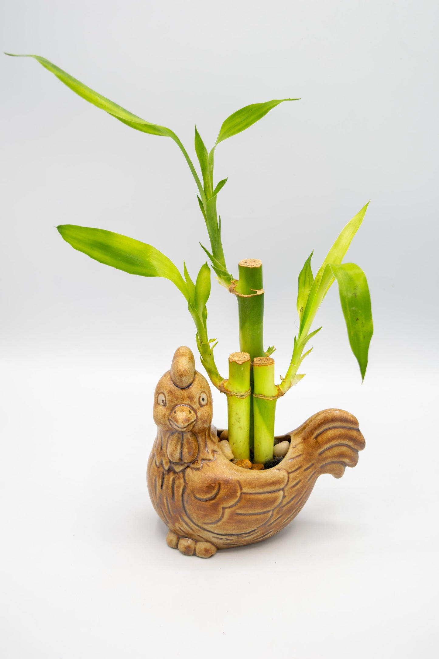 Chicken Left Facing Planter