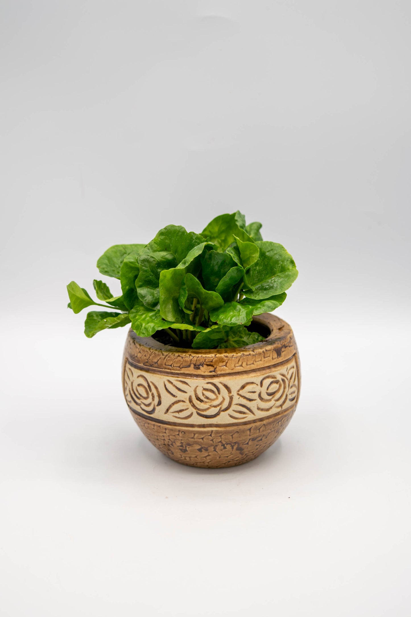 Round Rose Floral Planter