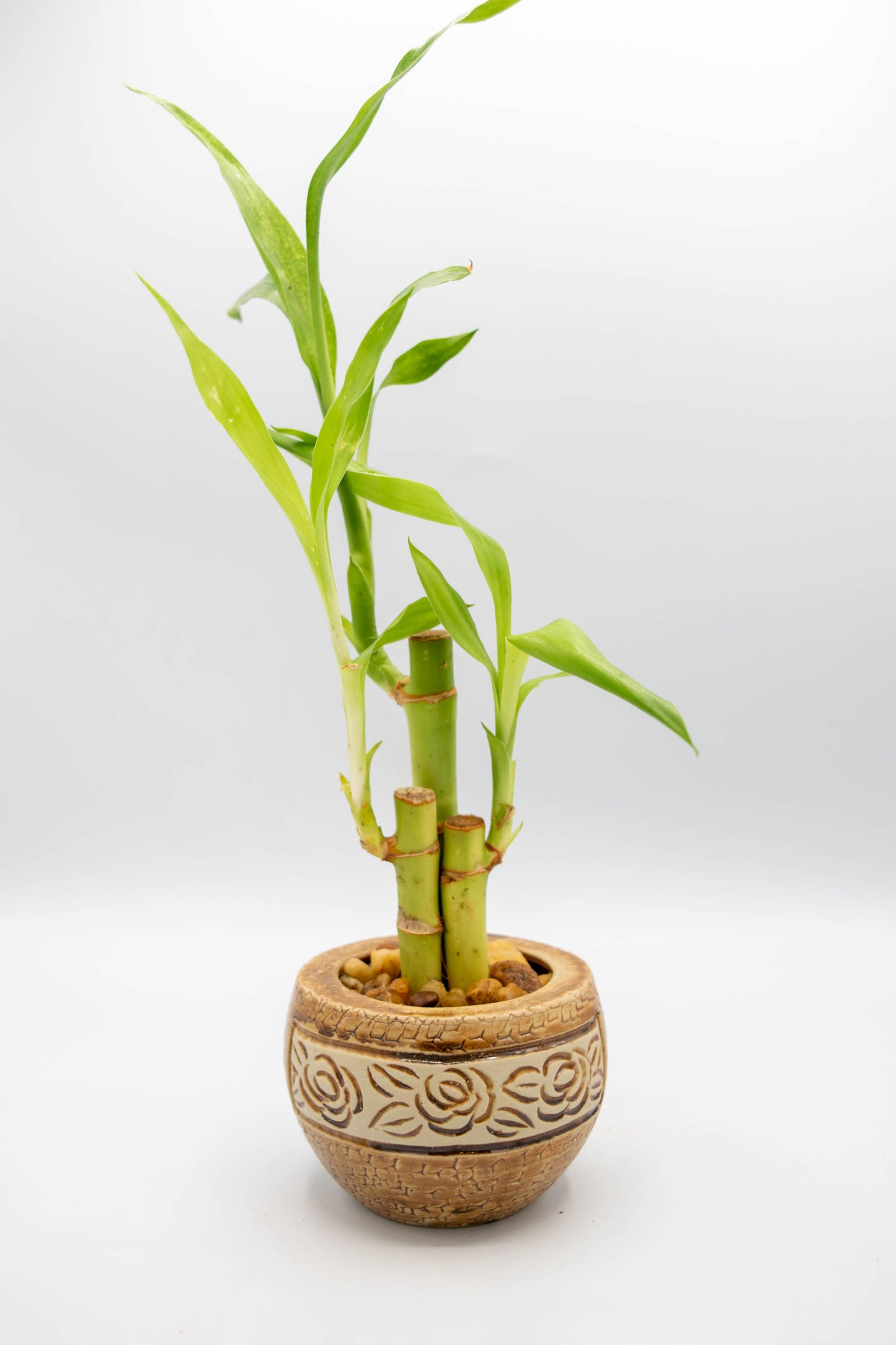 Round Rose Floral Planter