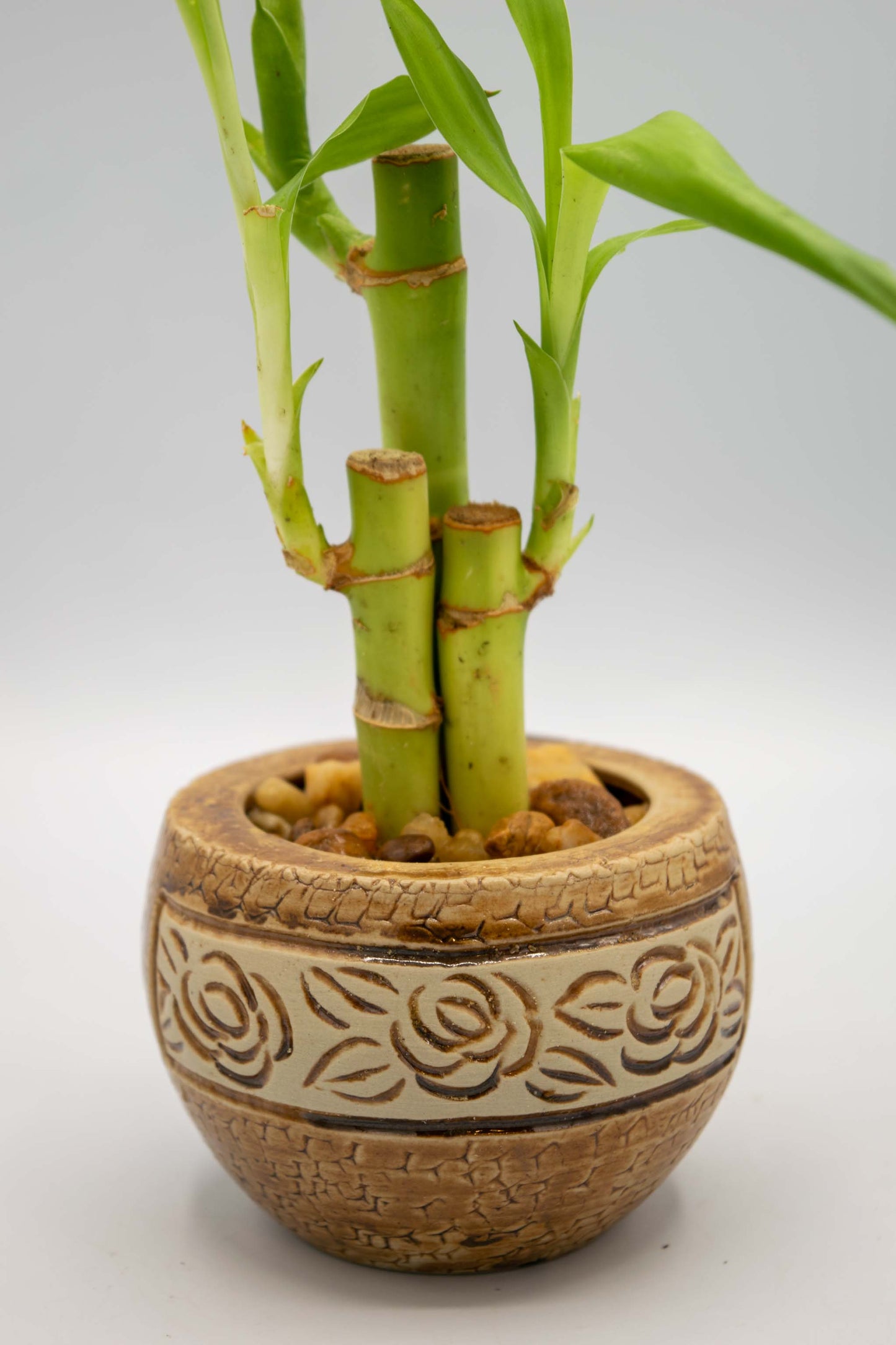 Round Rose Floral Planter