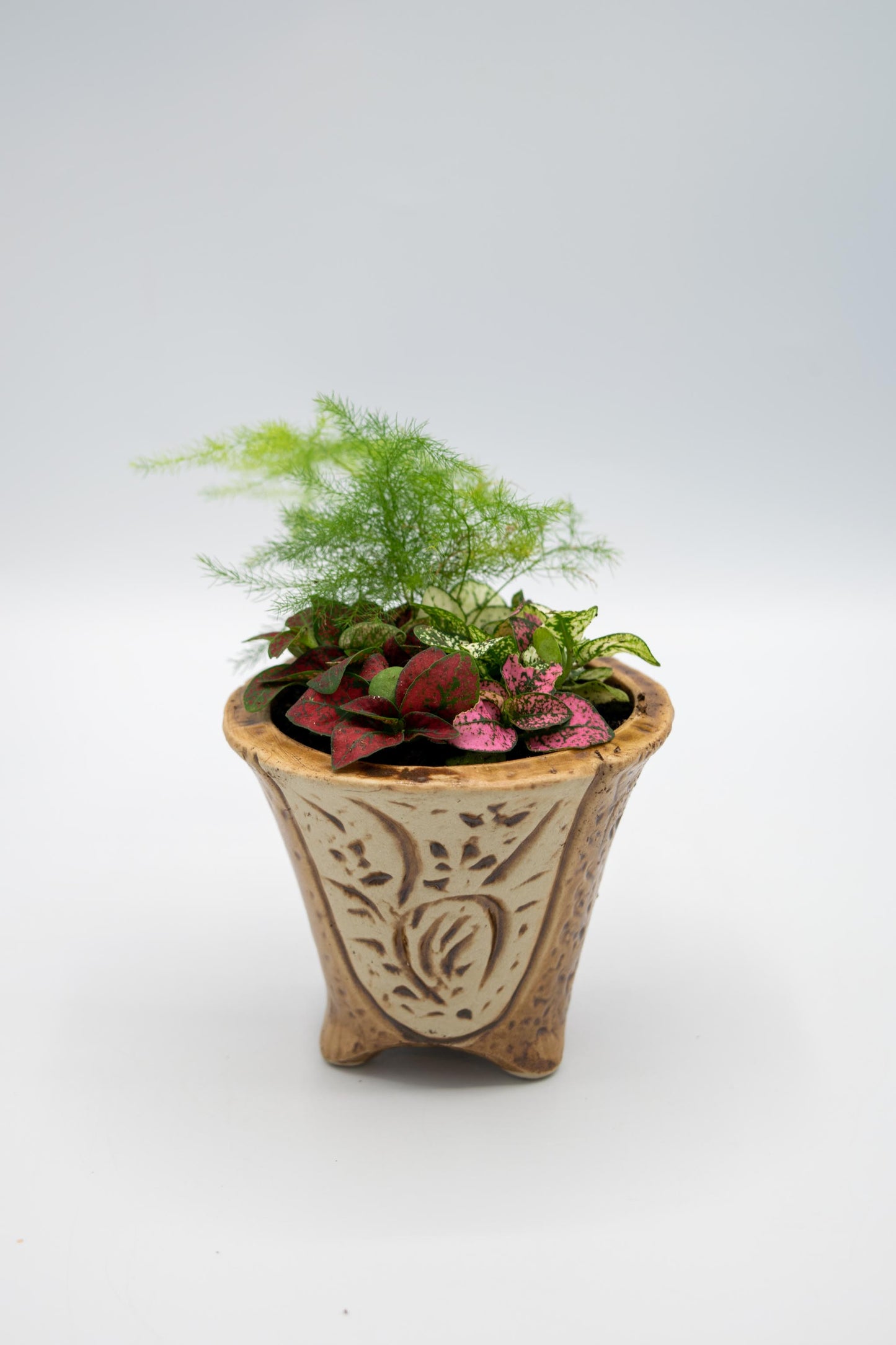 Orchid Planter
