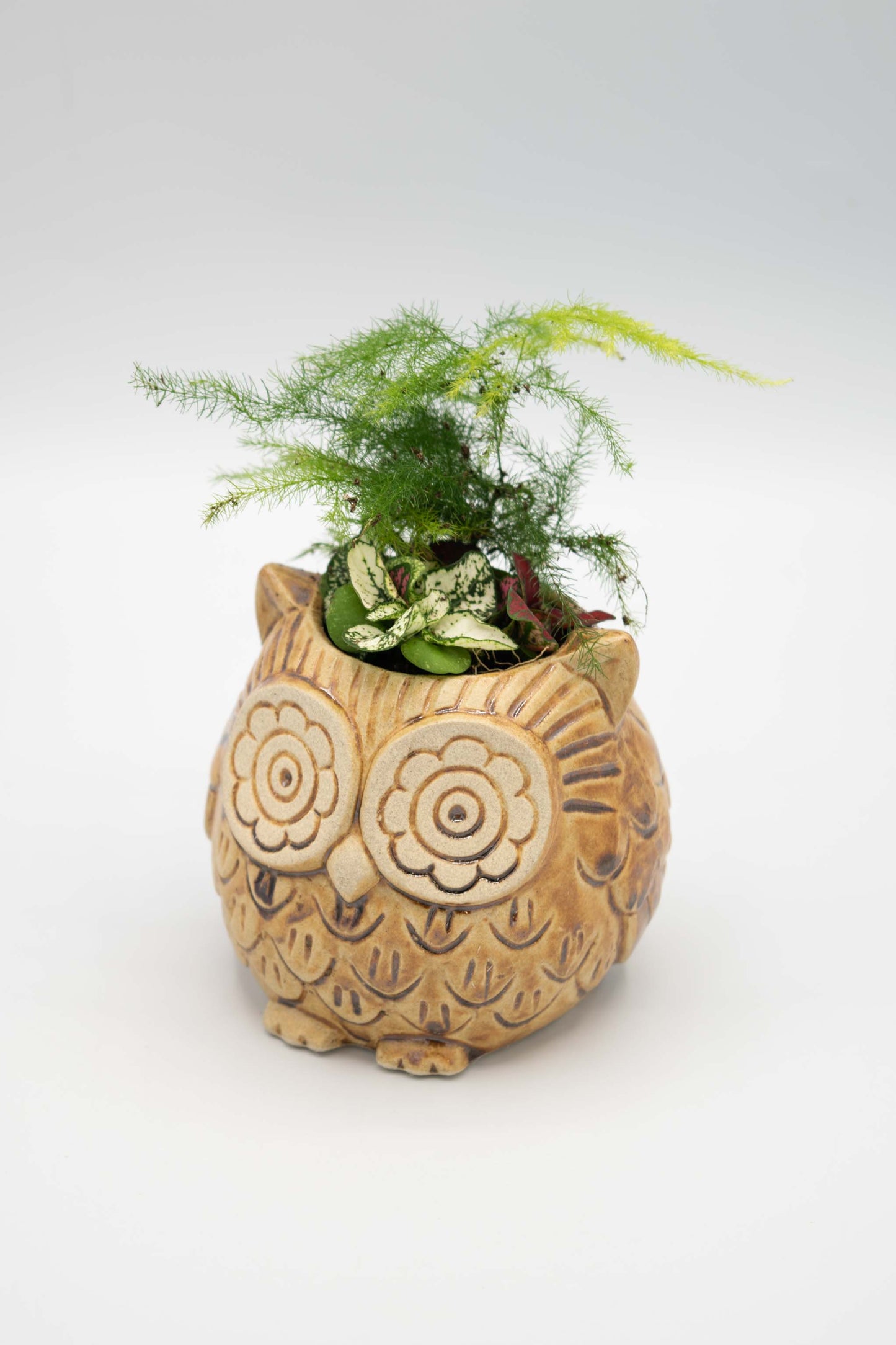 Owl Small Planter